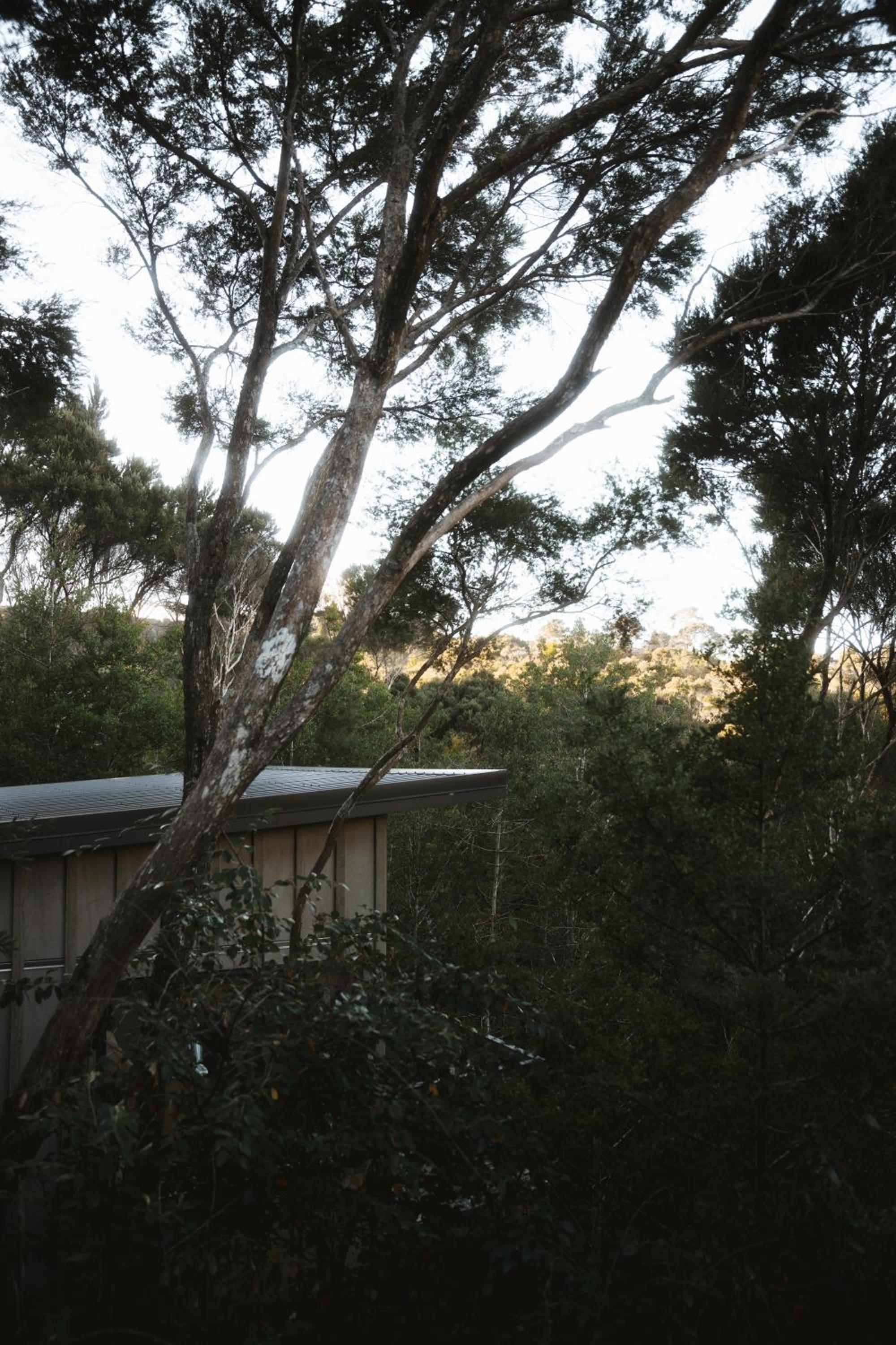 Treehouse Hideaway at Rekindle Treehouses view 3