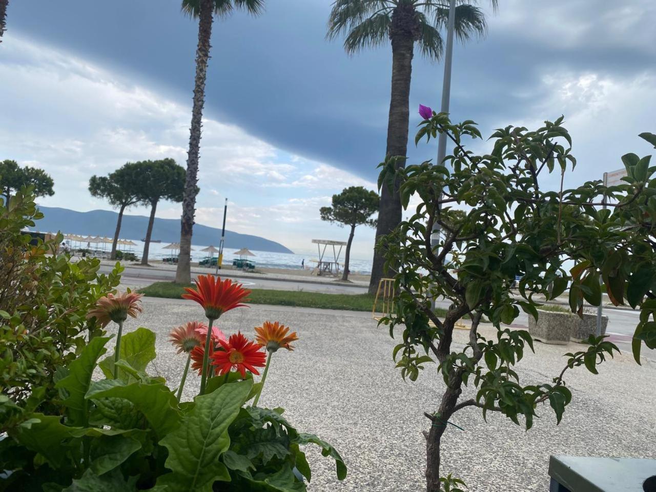 Albanian Riviera Apartment