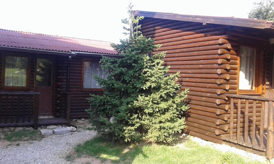 Guest House Raffe