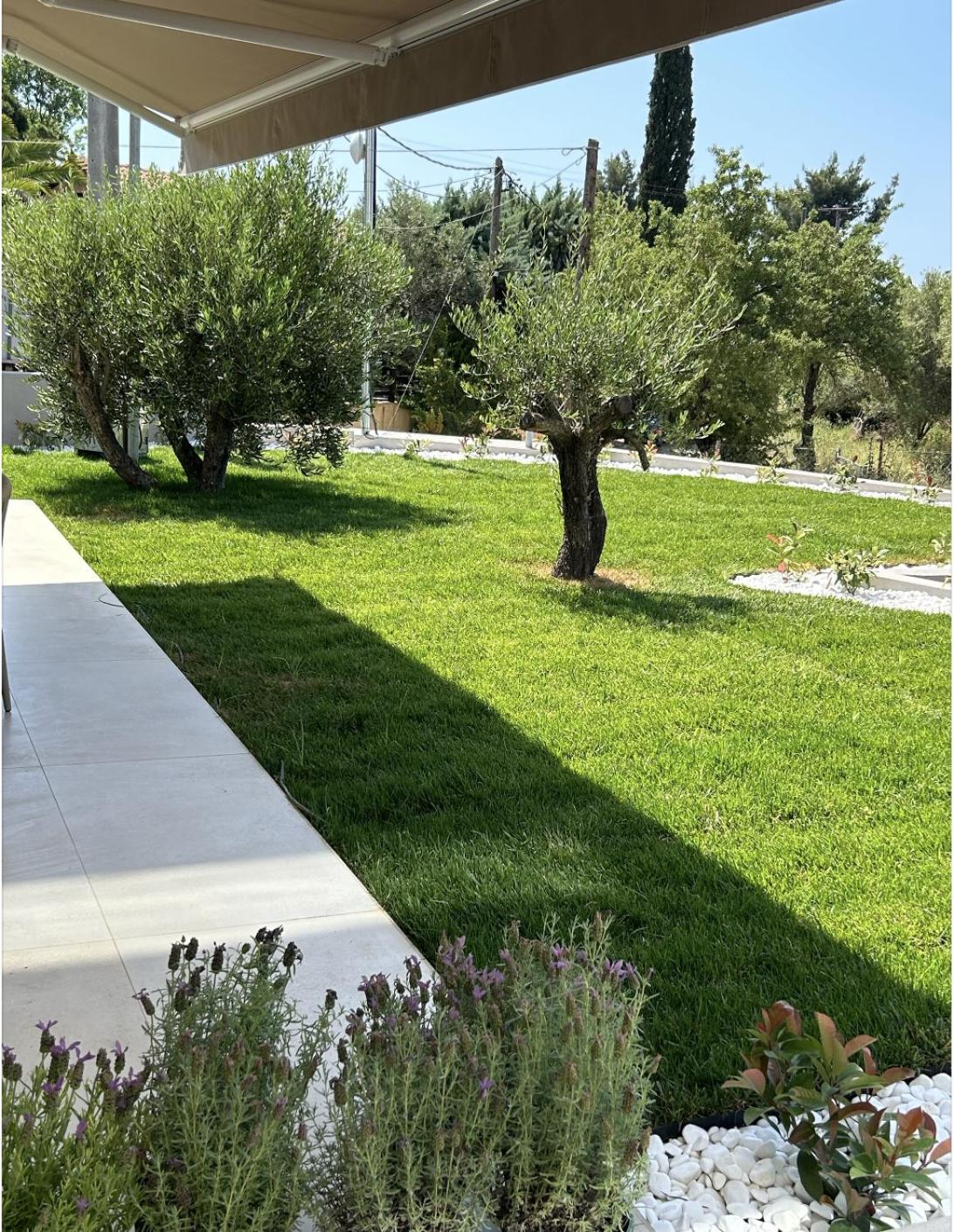 Photo 37