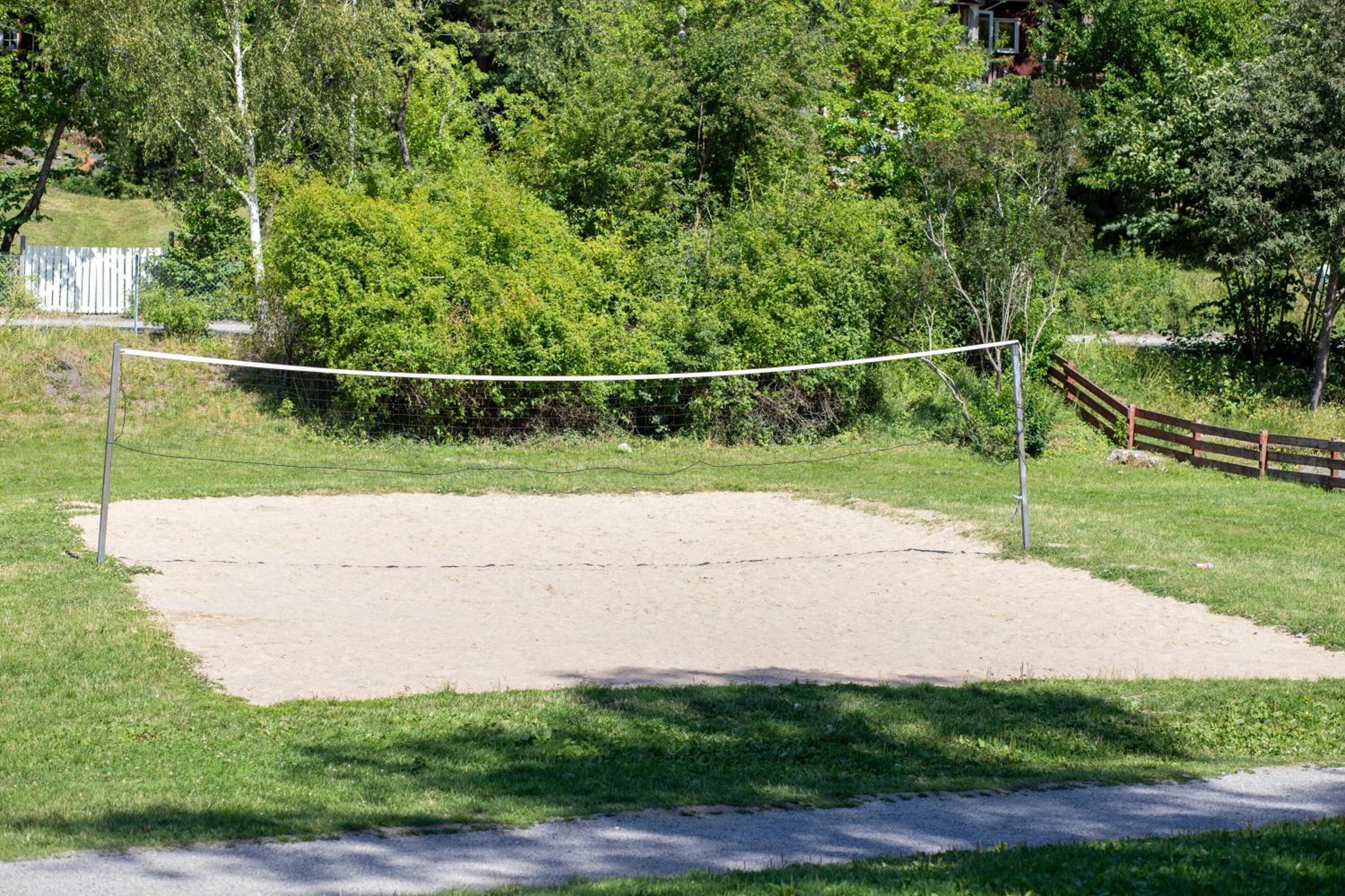 Photo 42