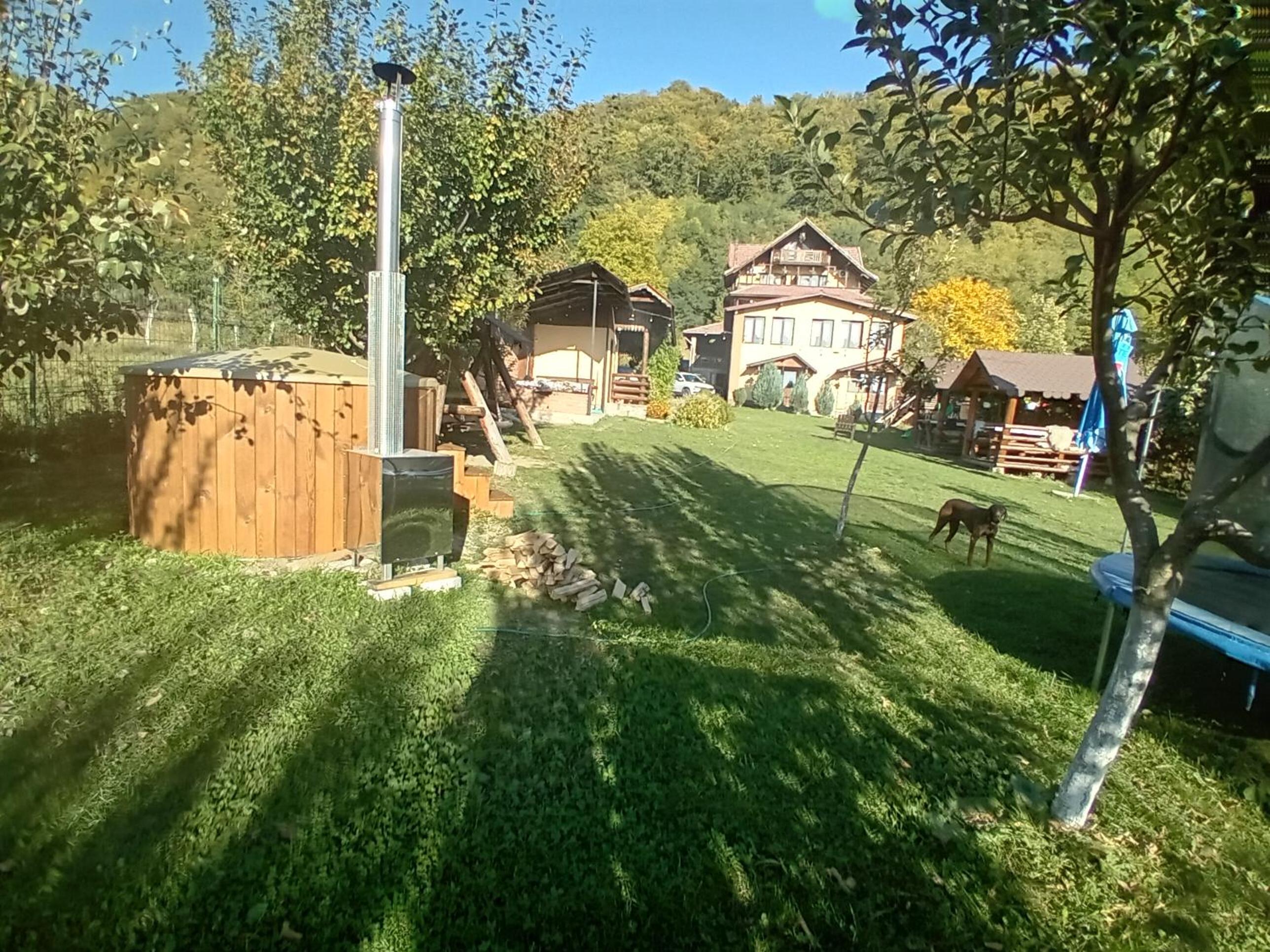 Photo 23
