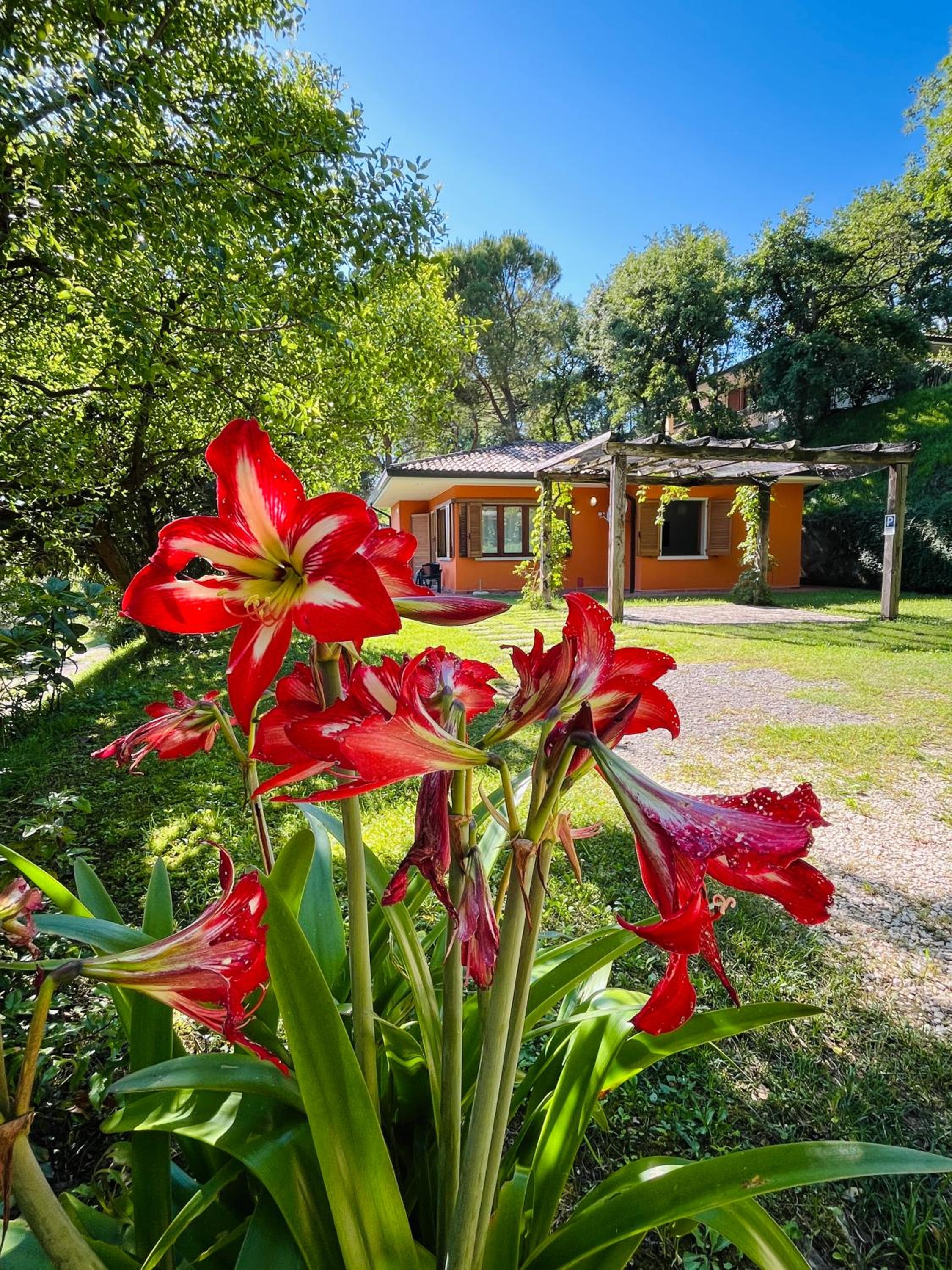 Residence Casa Adriana