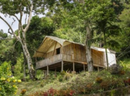 Glamping Teluk Sirih