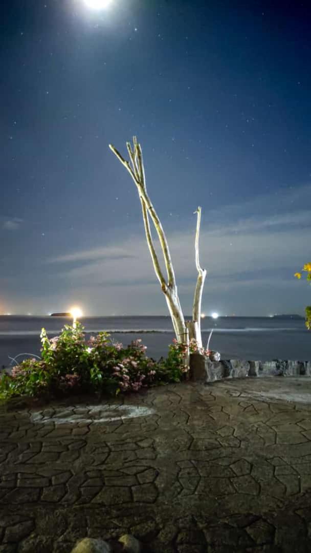Glamping Teluk Sirih
