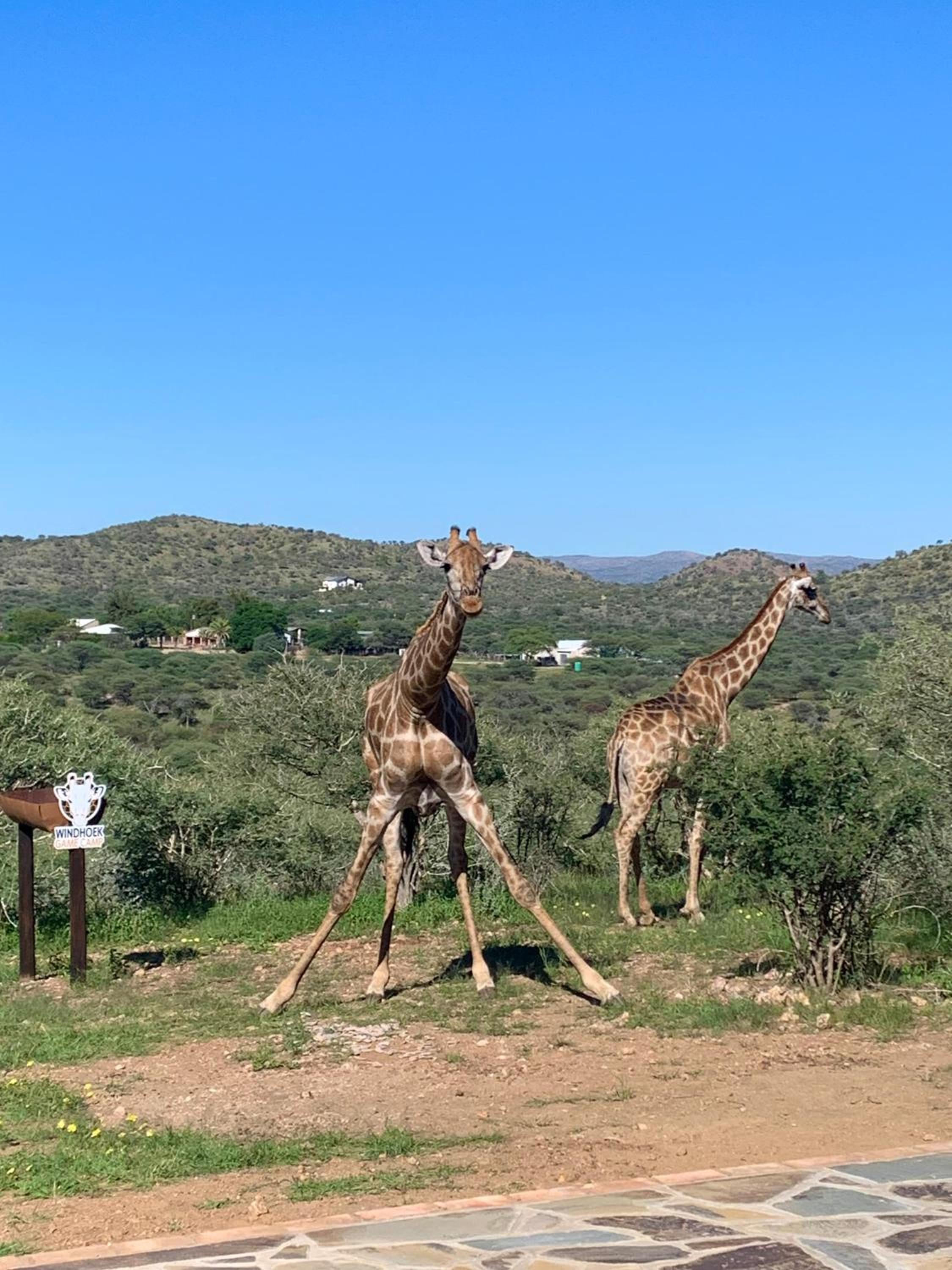 Windhoek Game Camp