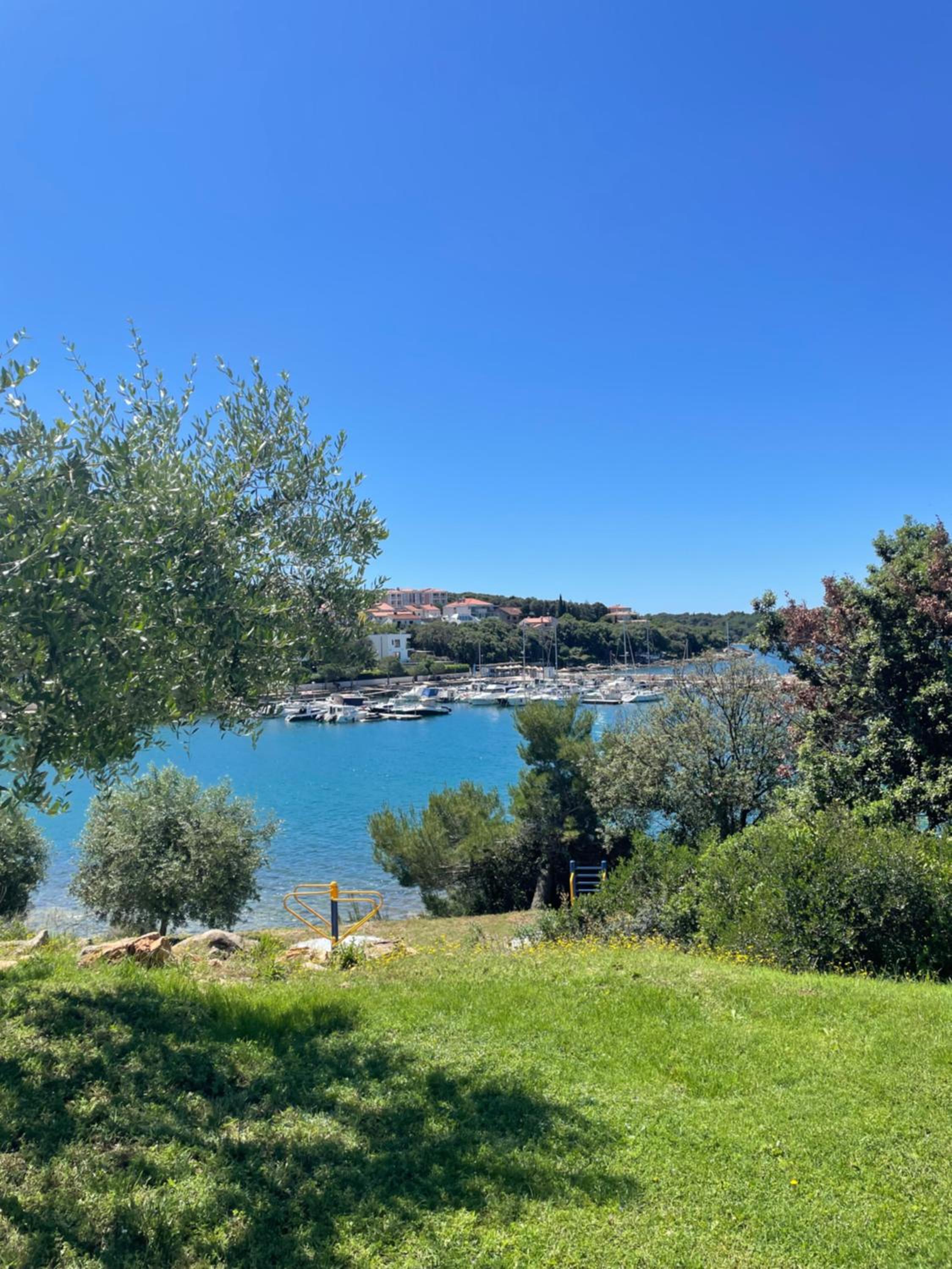 Apartments Antic