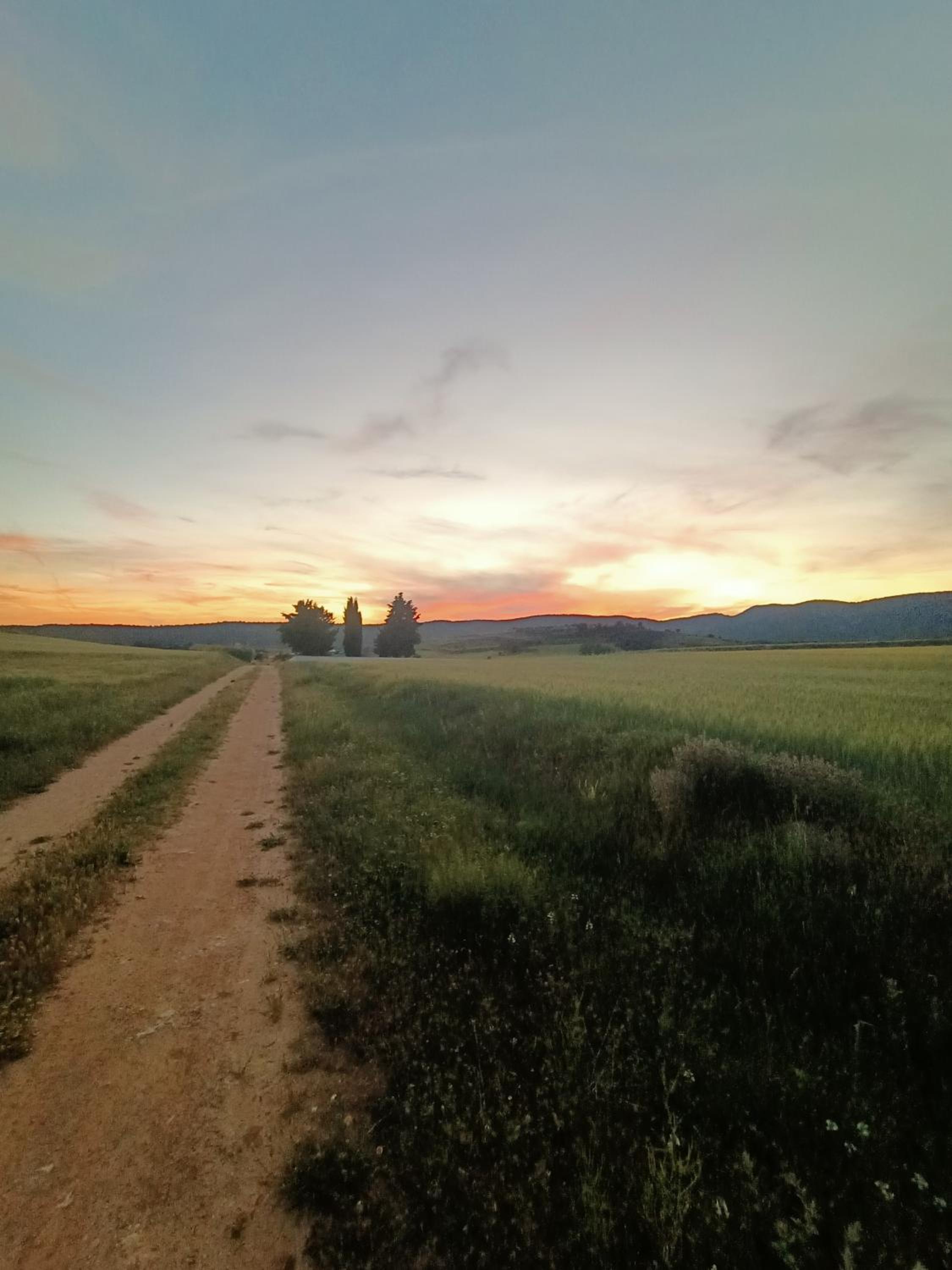 Alojamiento Rural El Cerro