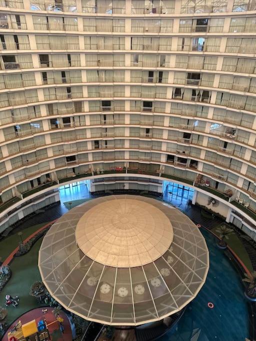 Sunshine stays