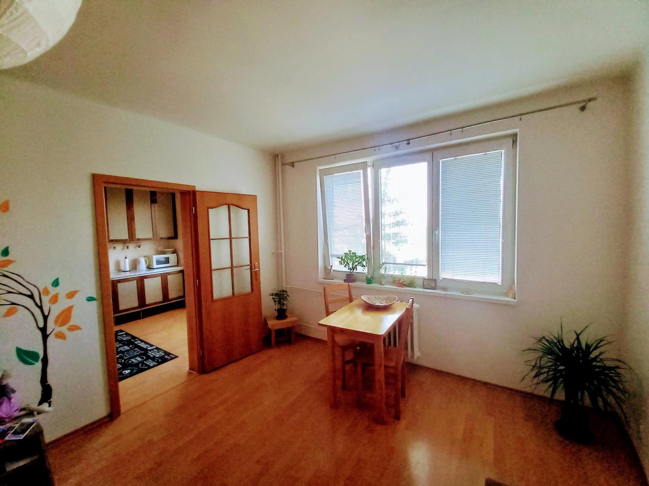Apartman Lienka FREE PARKING CITY CENTRE view 2