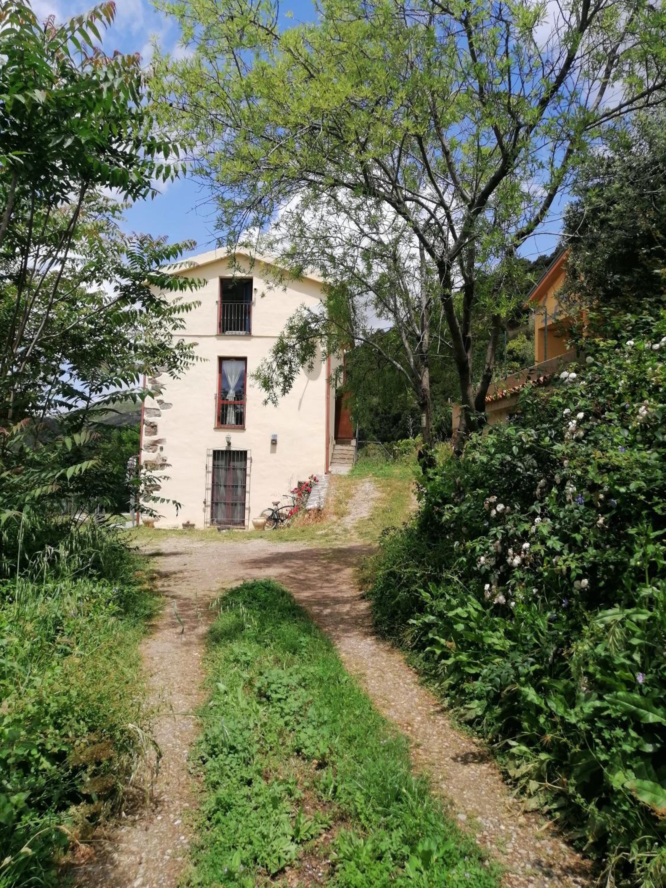 Photo 40