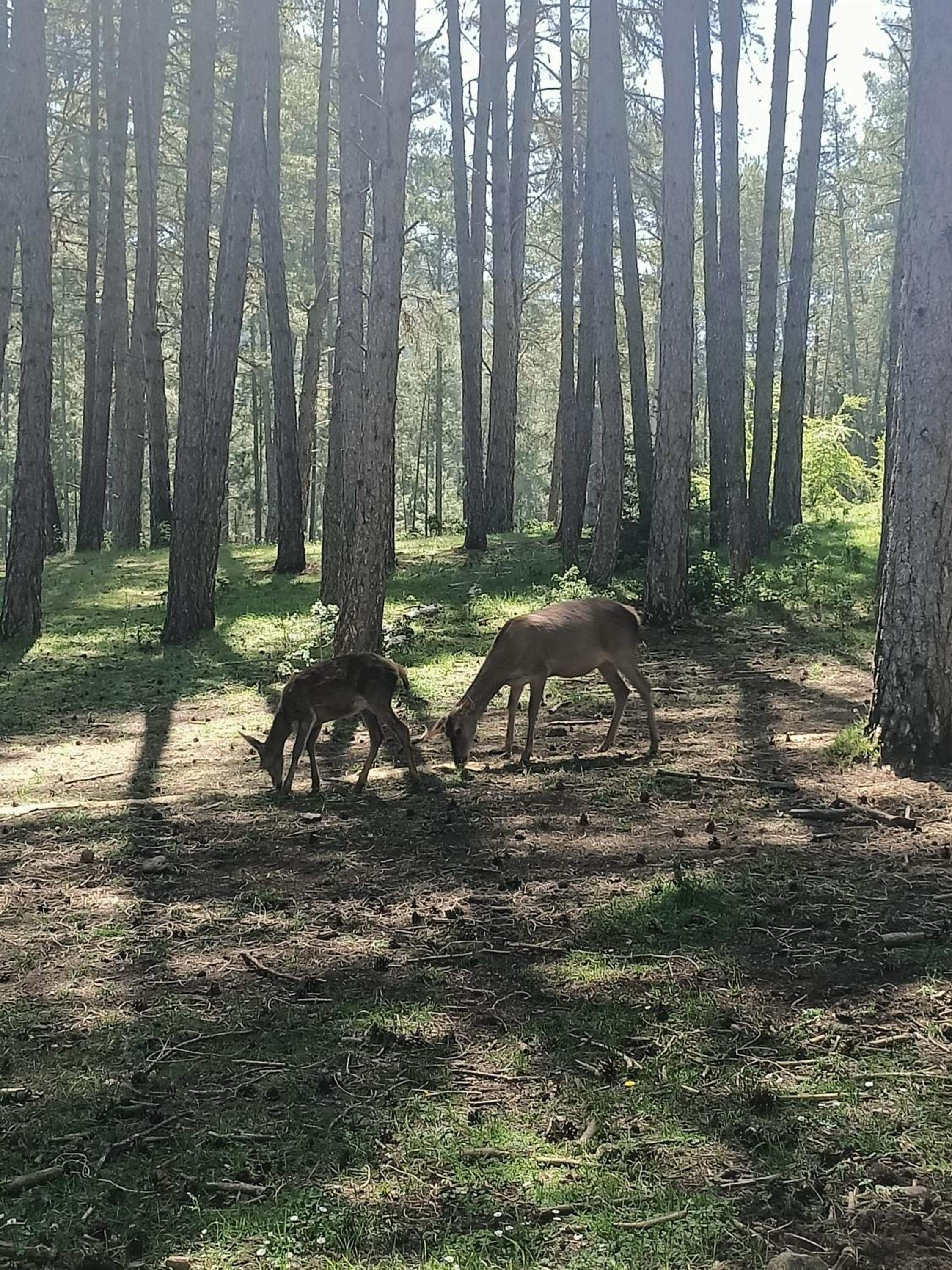 Alojamiento Rural El Cerro