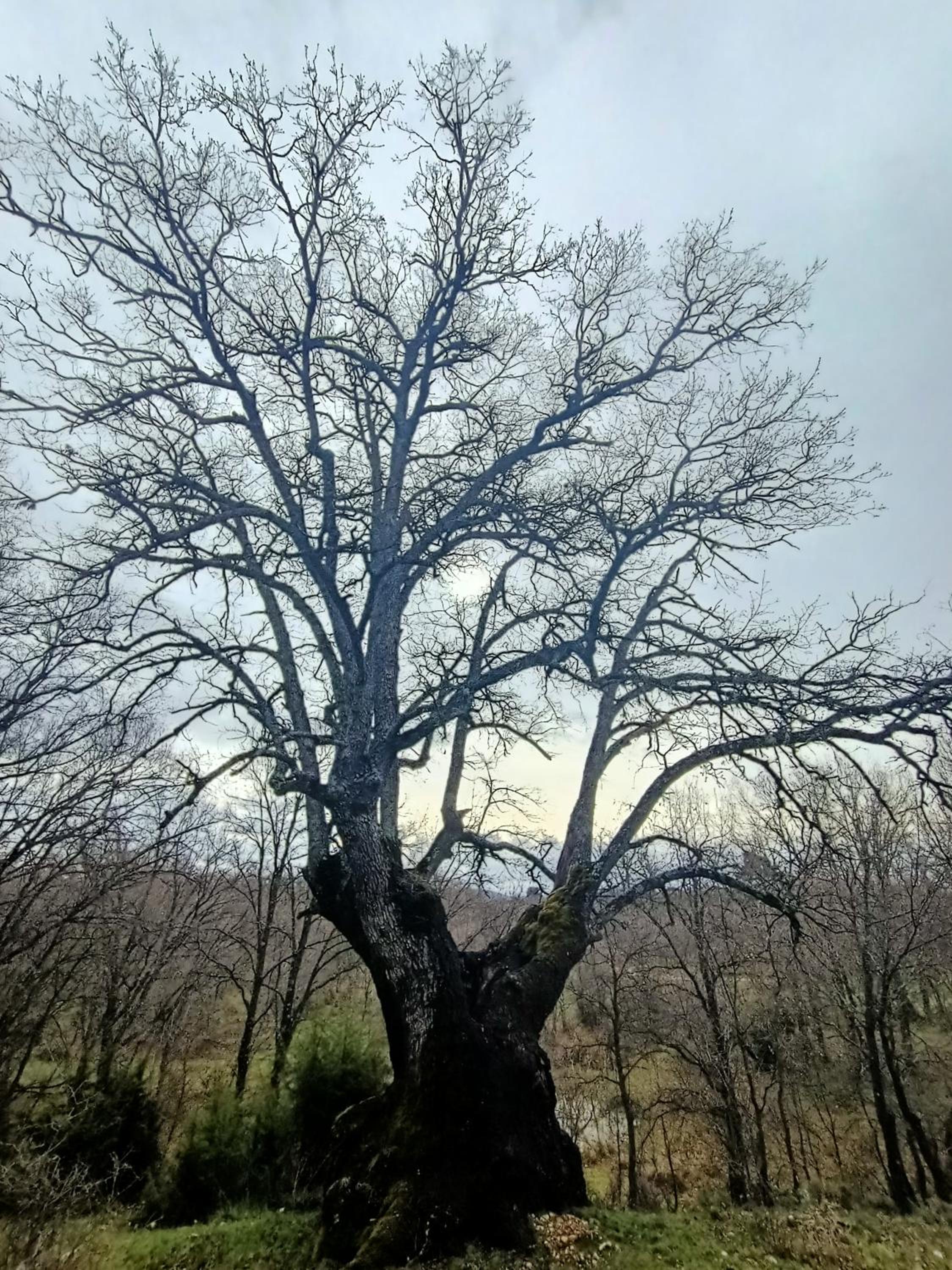 Alojamiento Rural El Cerro
