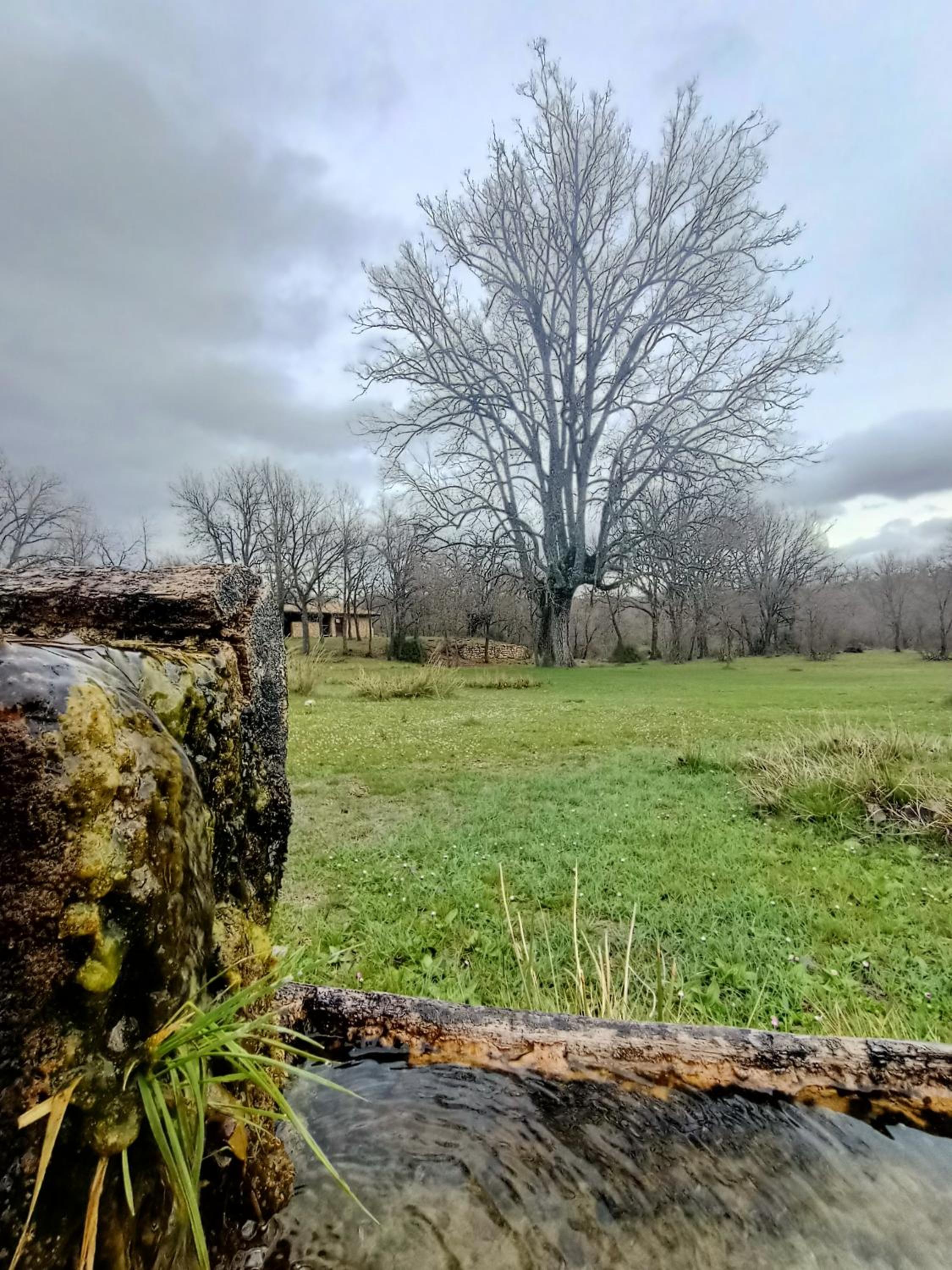Alojamiento Rural El Cerro