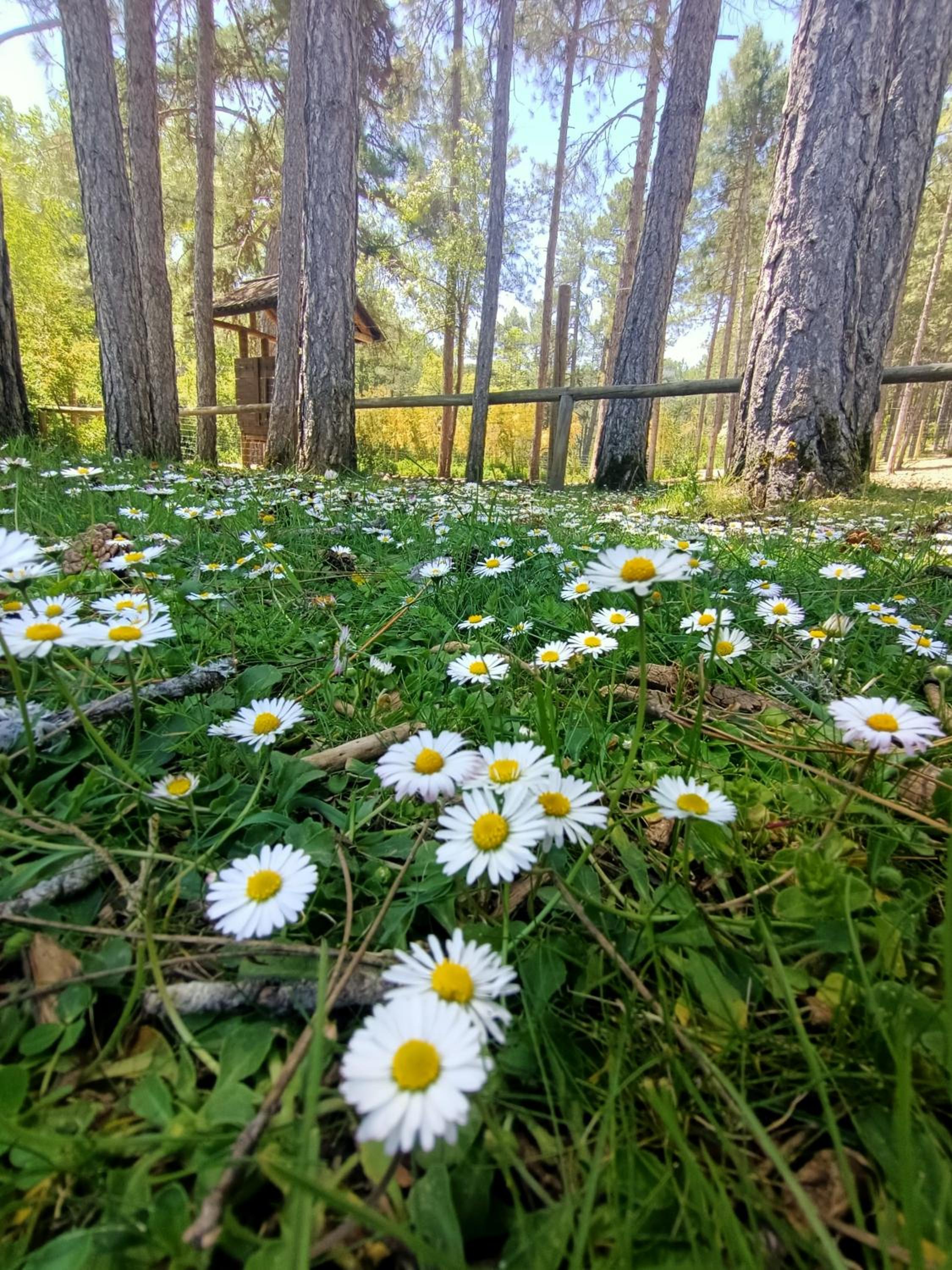 Alojamiento Rural El Cerro
