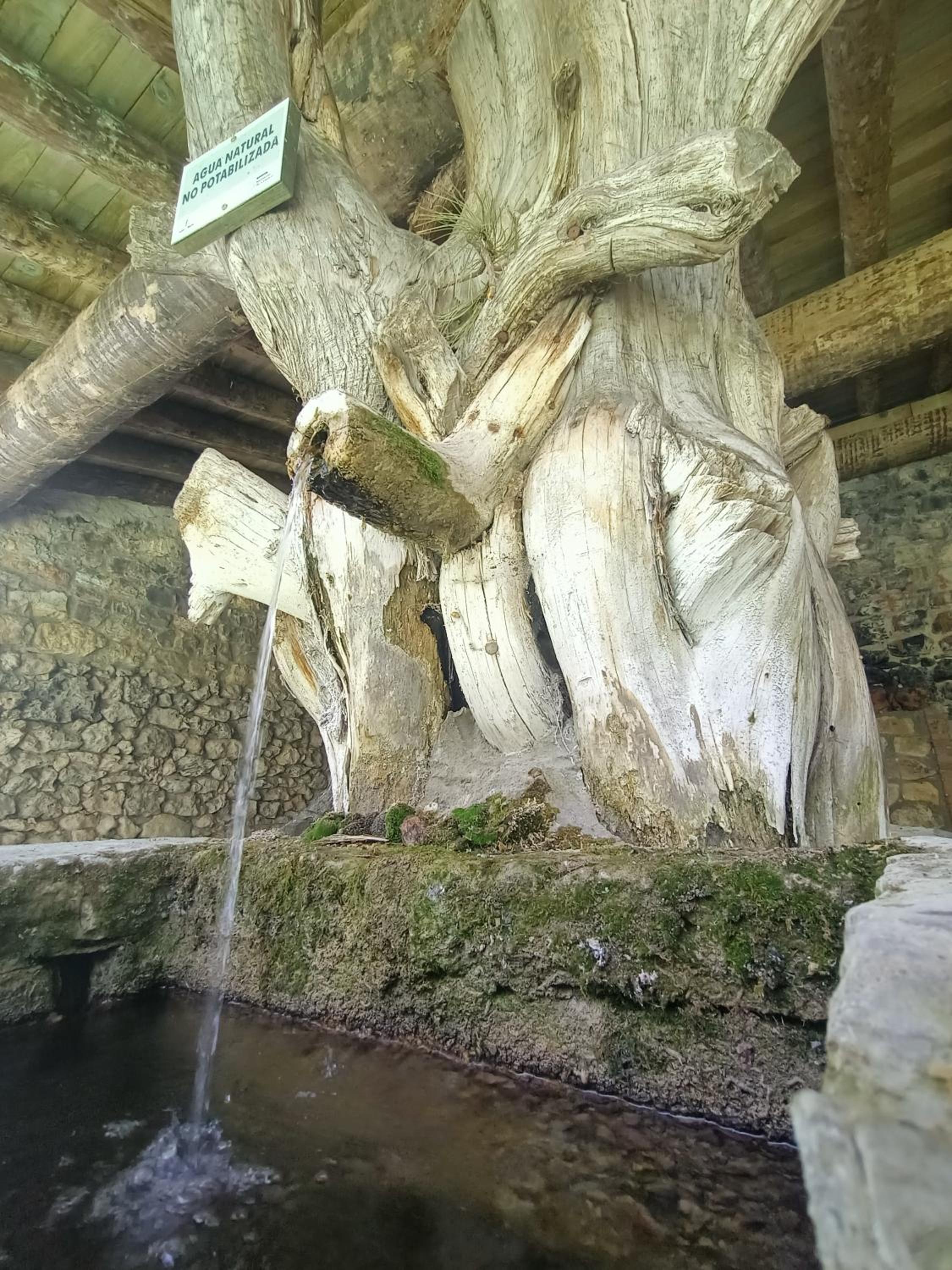 Alojamiento Rural El Cerro