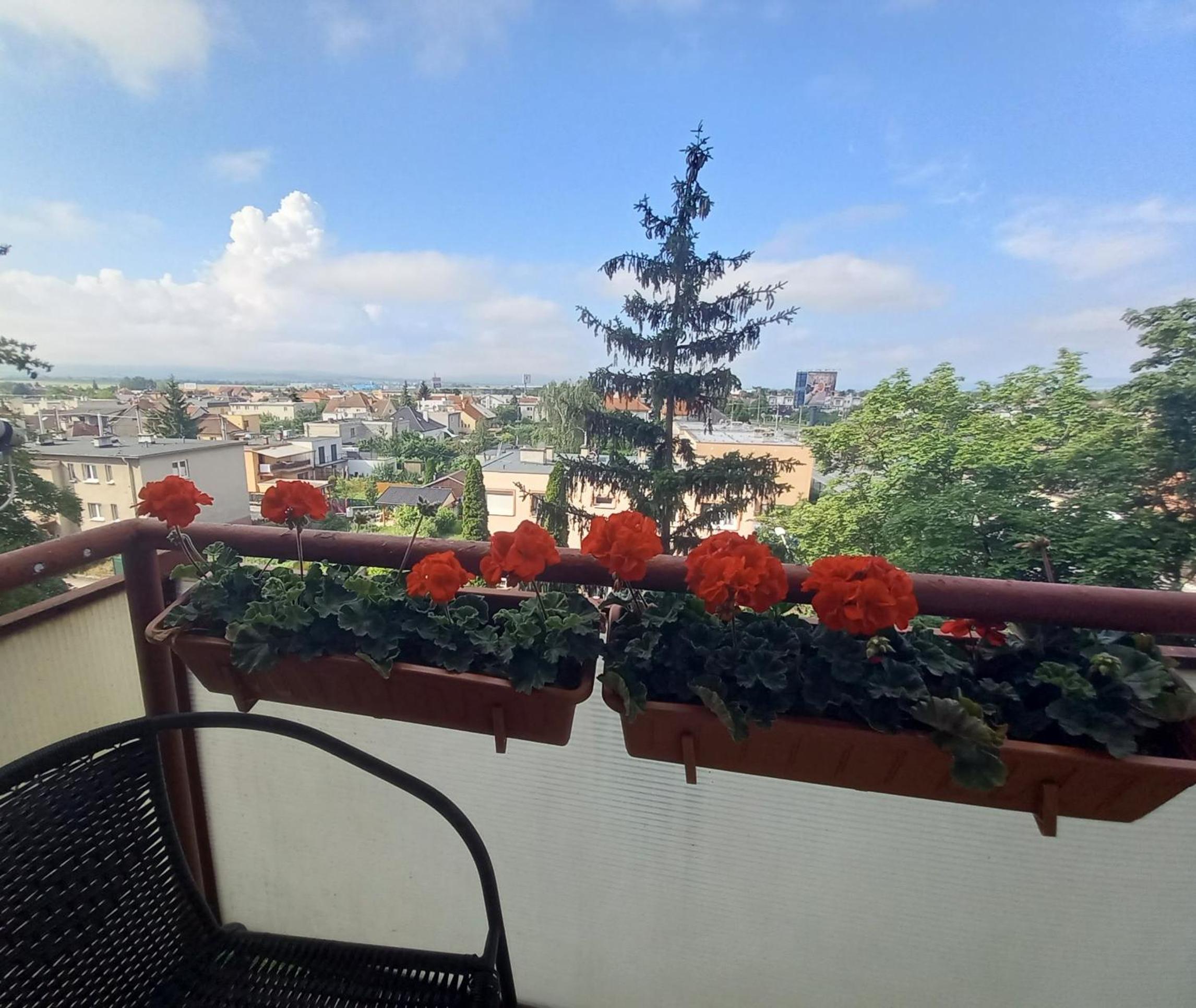 Apartman Lienka FREE PARKING CITY CENTRE view 5