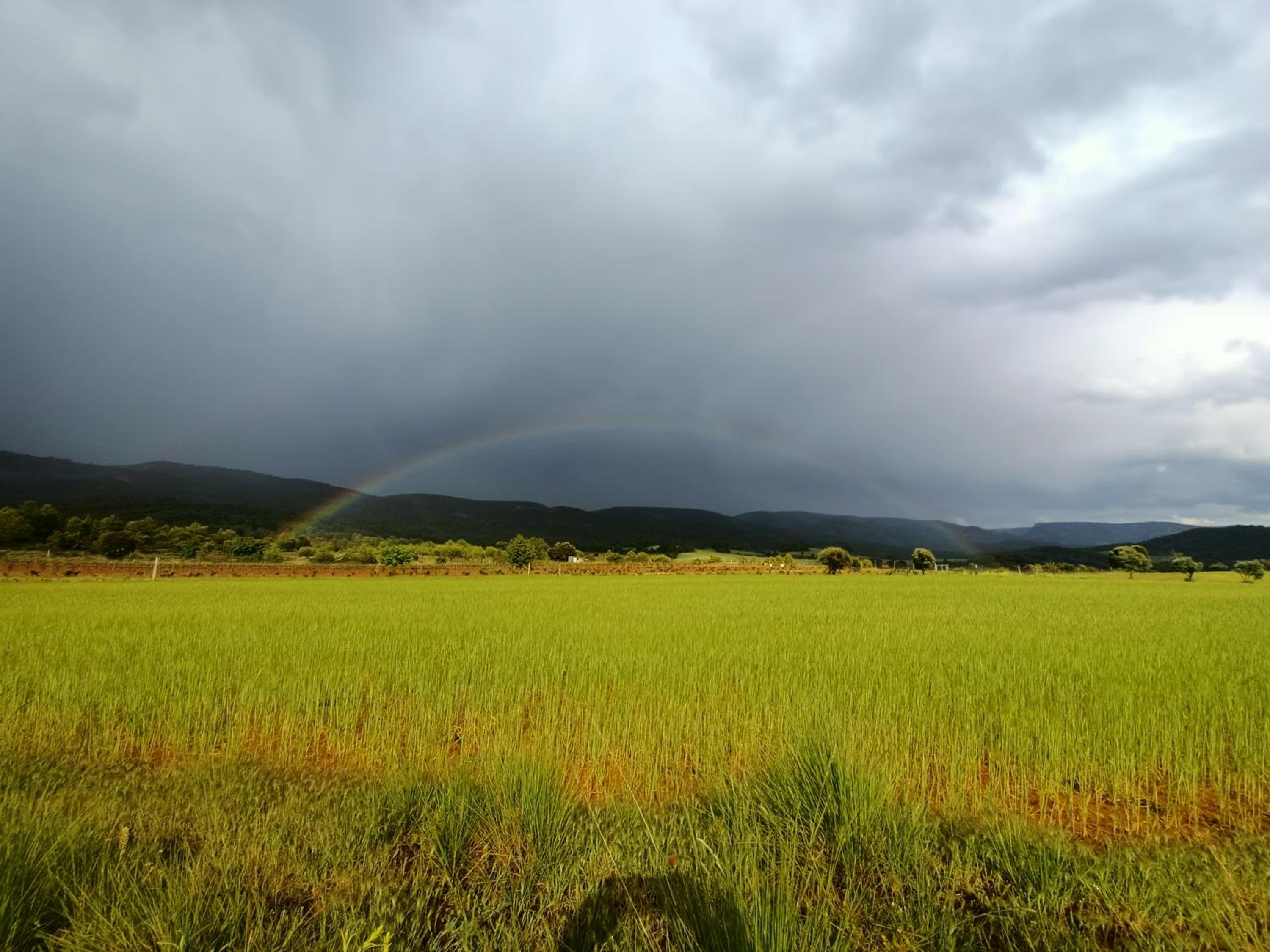 Alojamiento Rural El Cerro