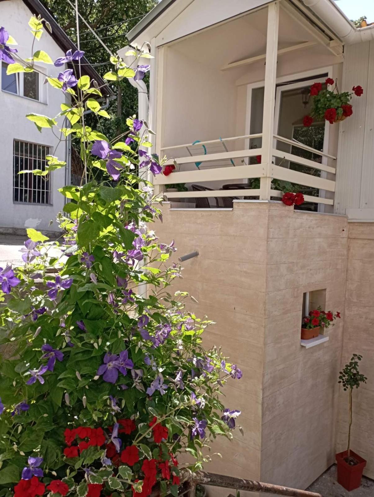 Apartman Krejović