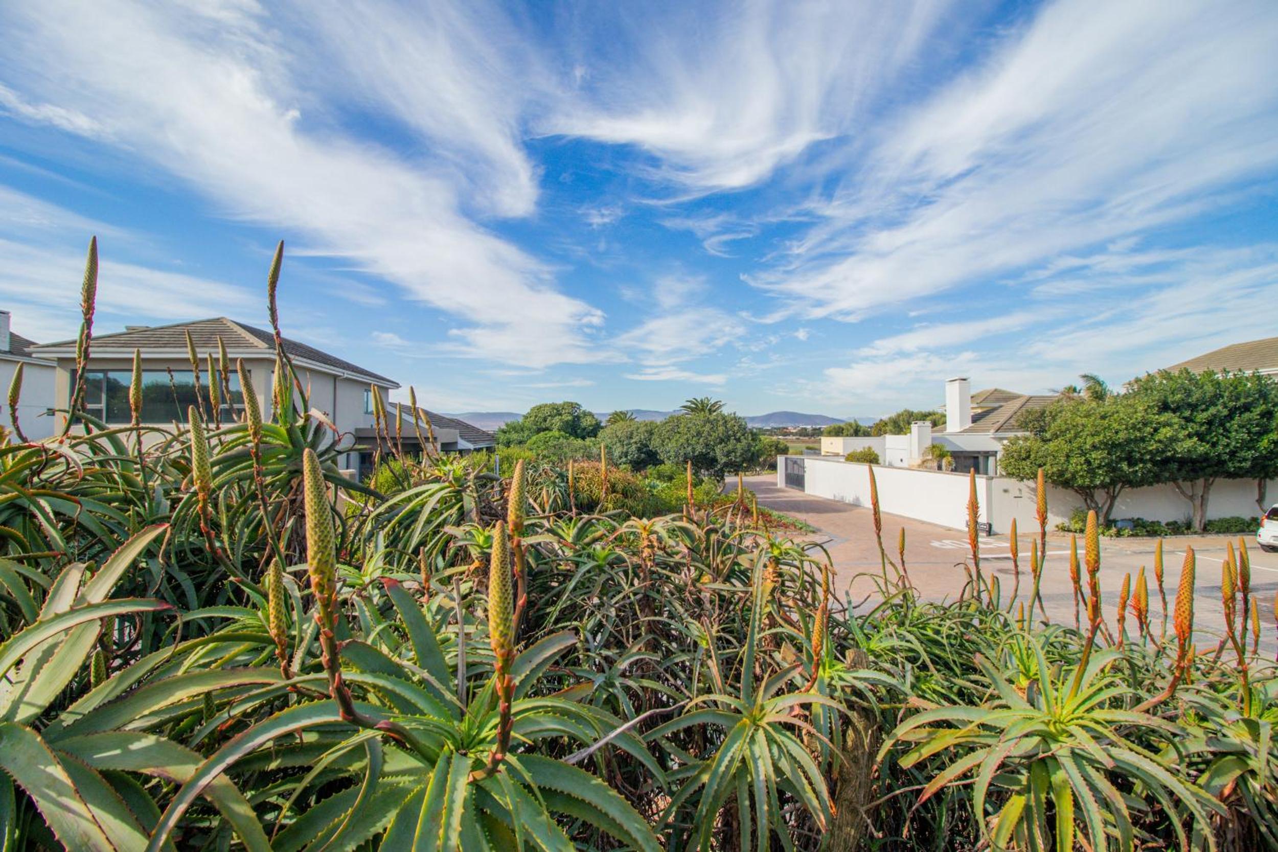 Bayhill Terrace 17 by CTHA view 5