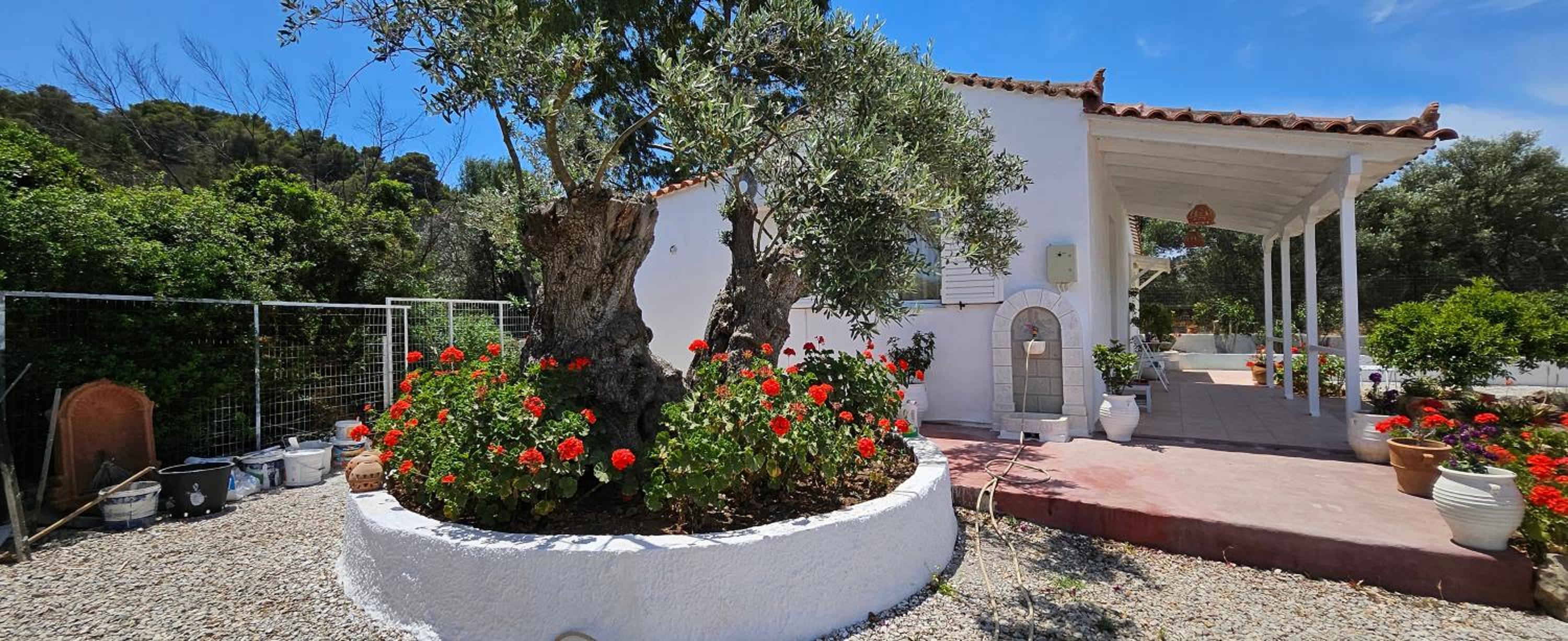 Villa Oleander