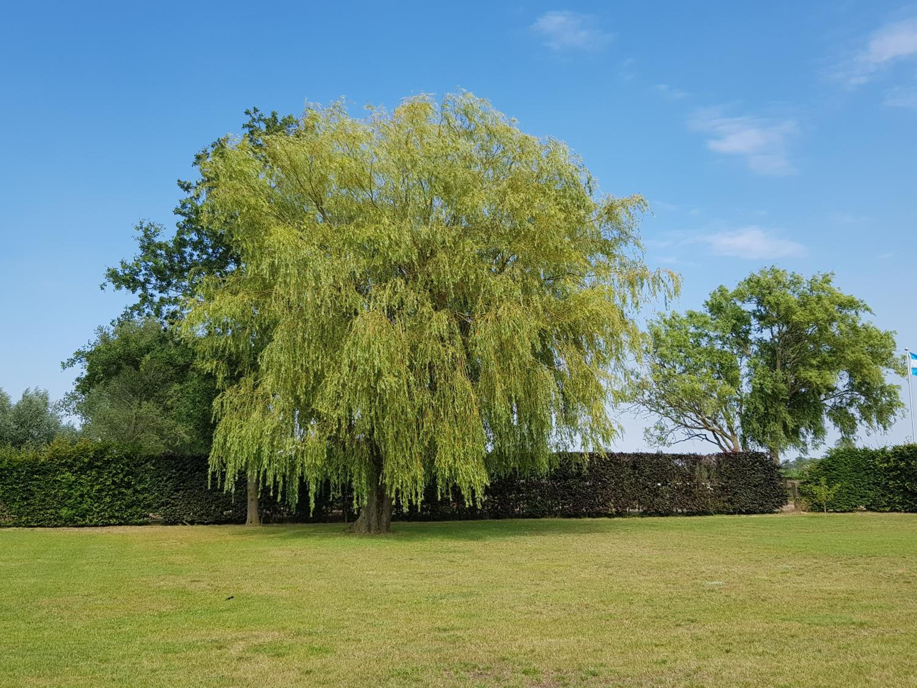 B&B De Vlierbeek