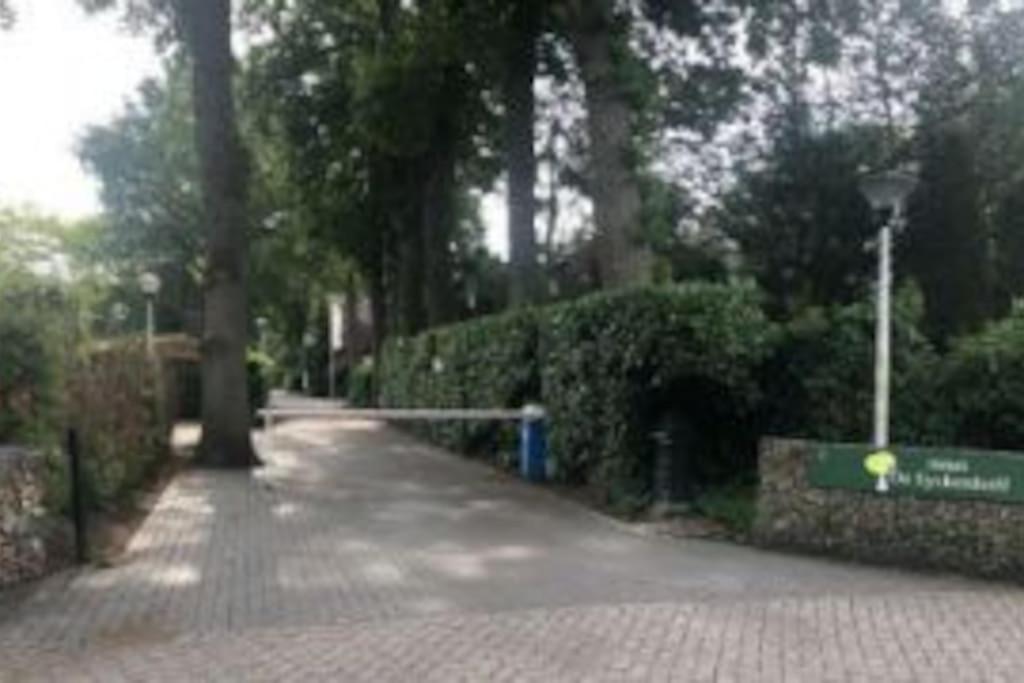 Photo 21