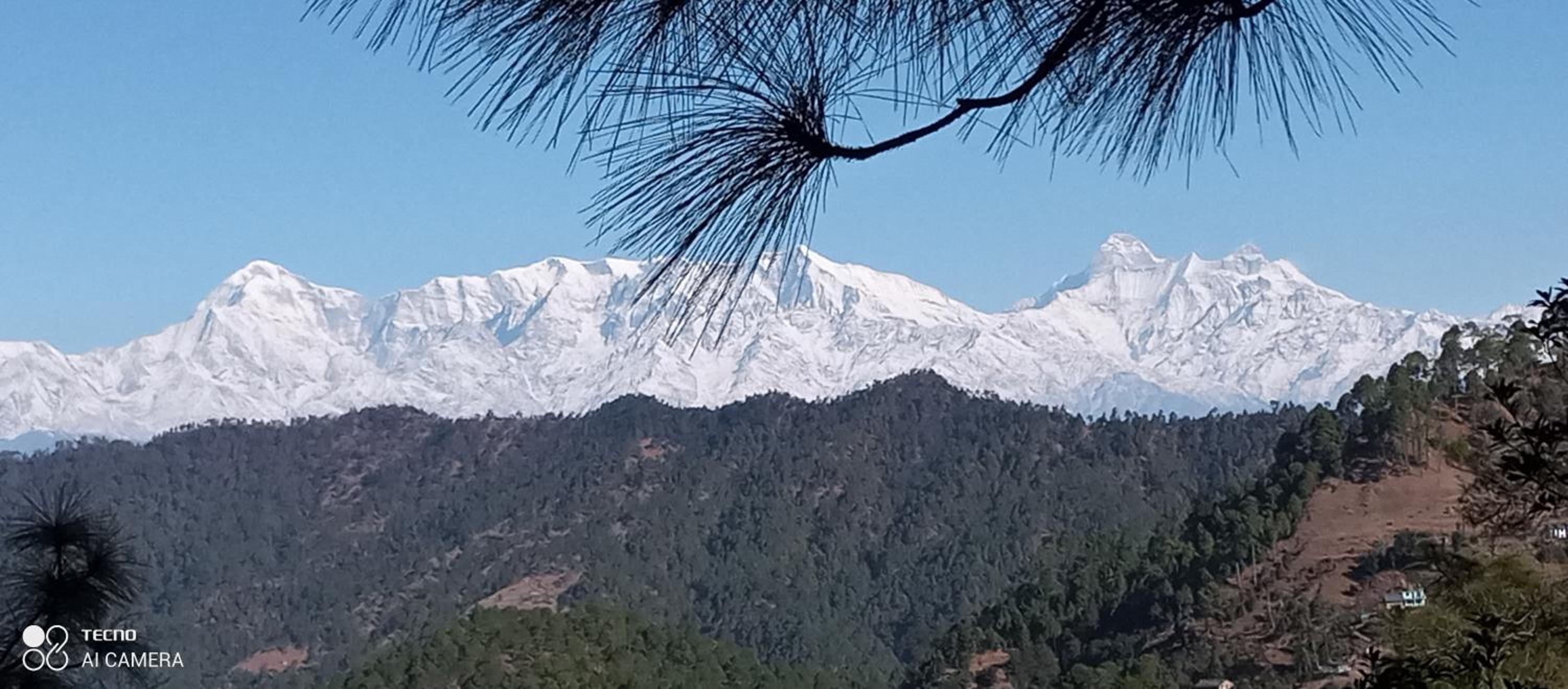 Joshi Cottage Binsar
