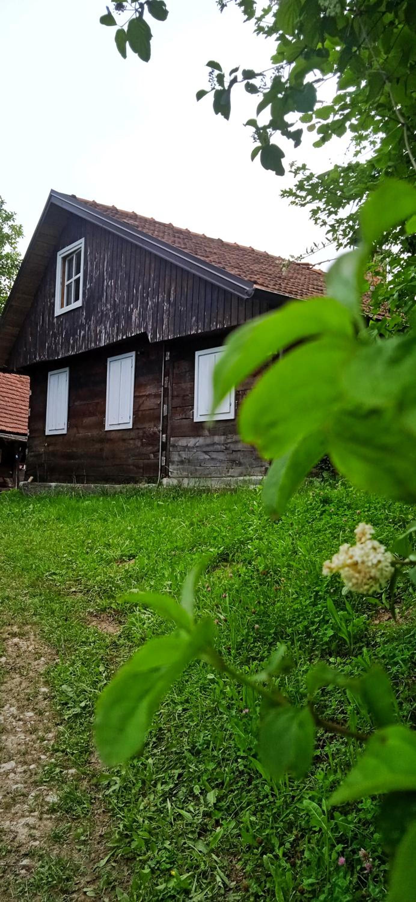 Guesthouse DARKWOOD