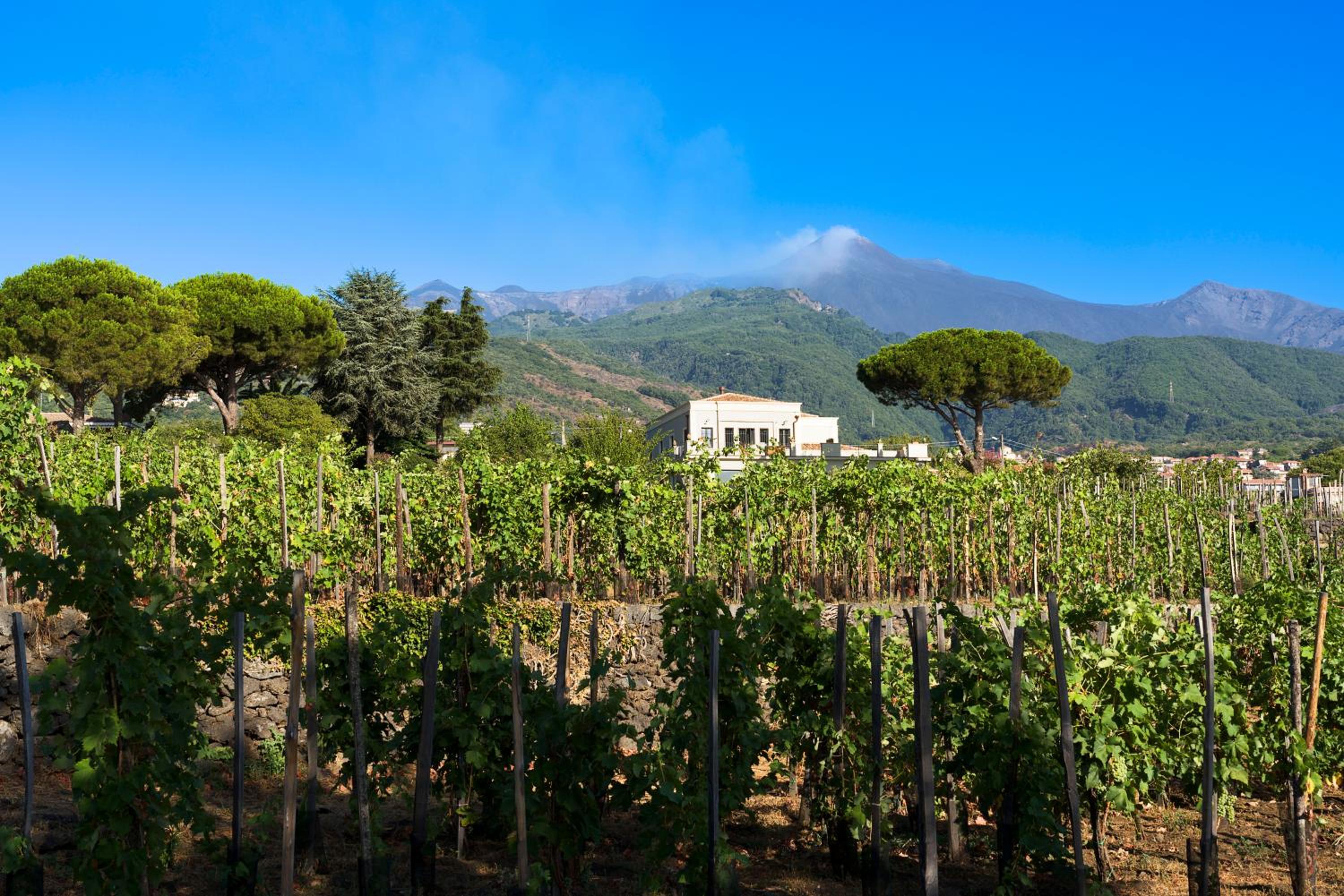 Locanda Quinto Arco