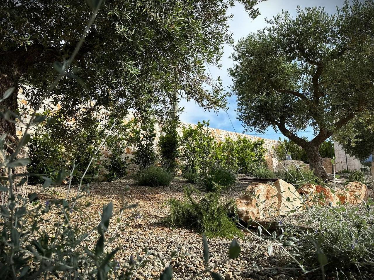 Photo 30