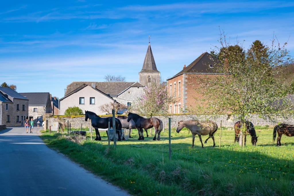 Au Ny des Hirondelles à 10min de Durbuy
