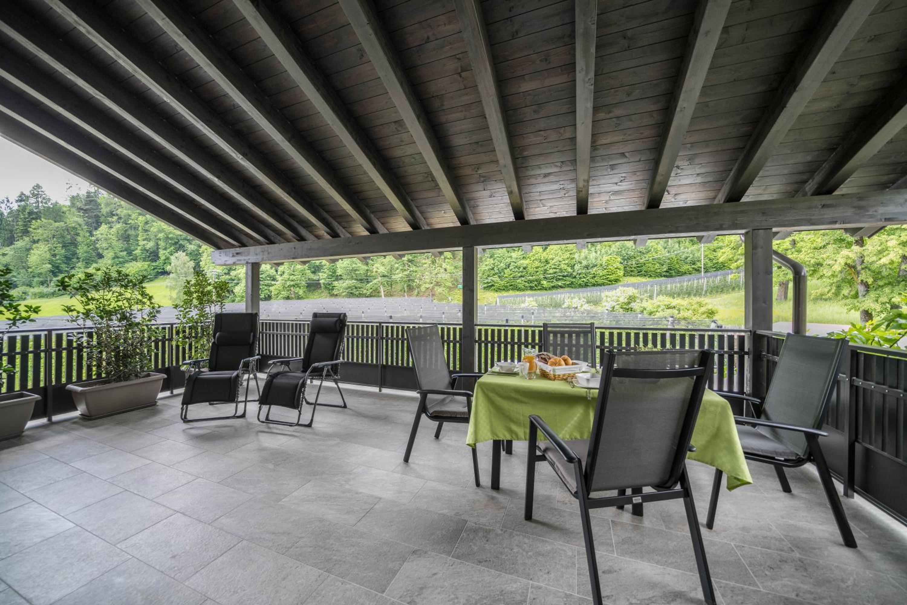 Wiesgut Apartment Stark view 5