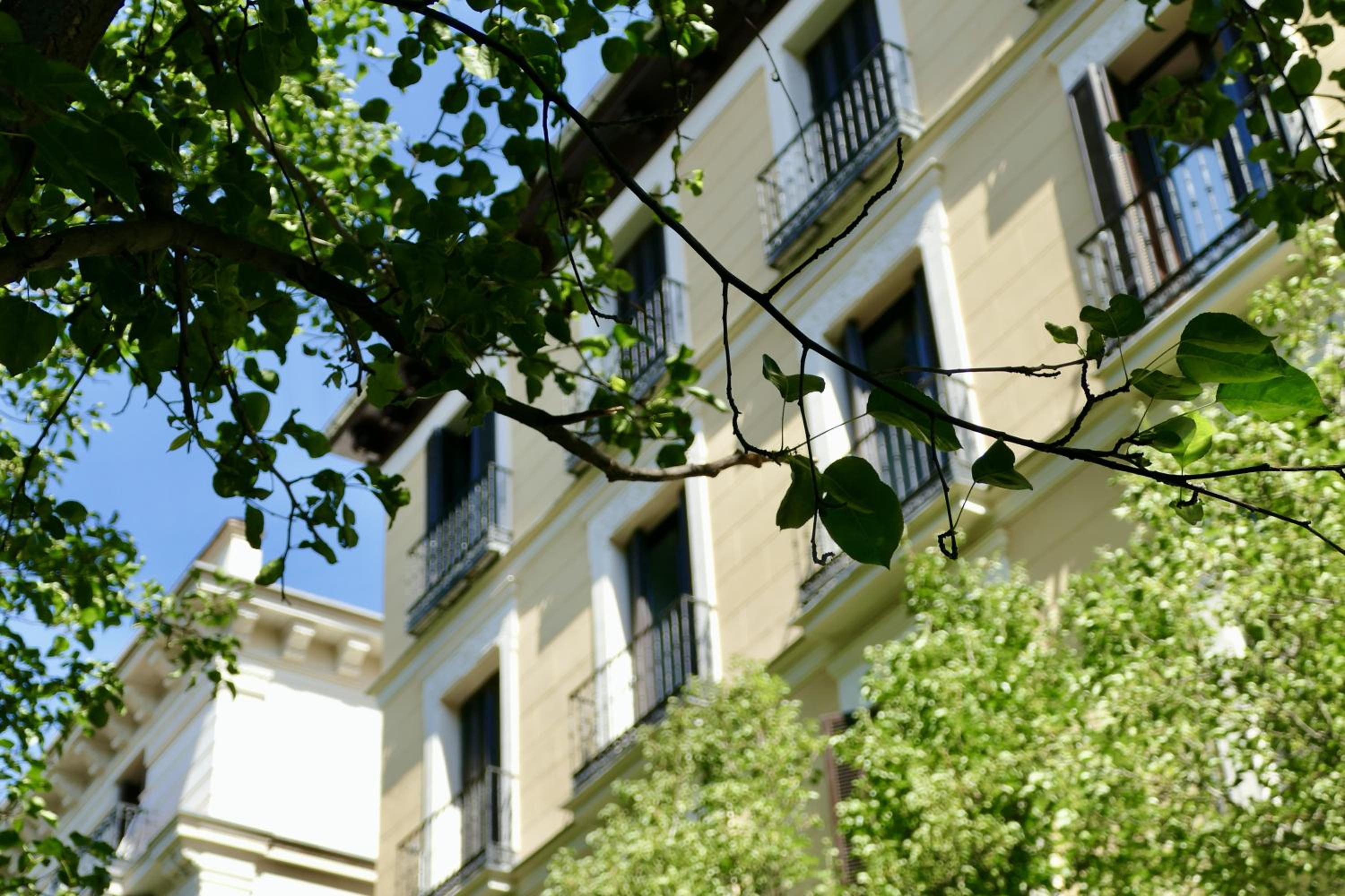 Apartamentos Blume Conde Aranda