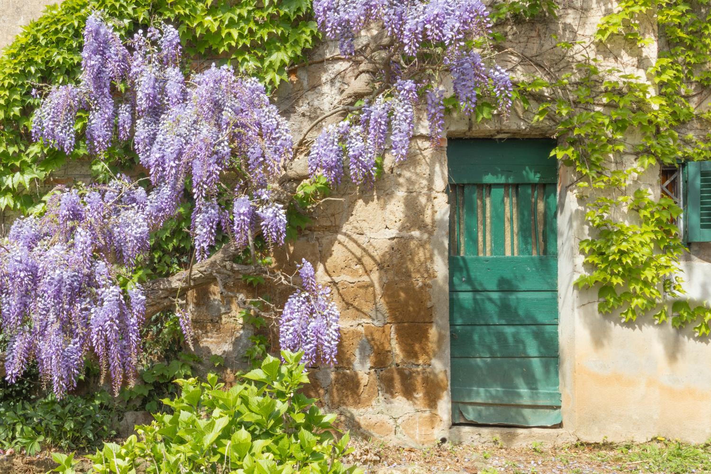 Casale Spreca - Country house, Capranica view 5