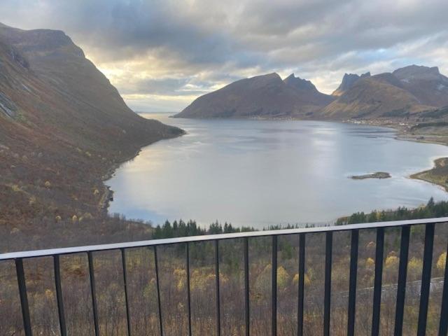 Senja