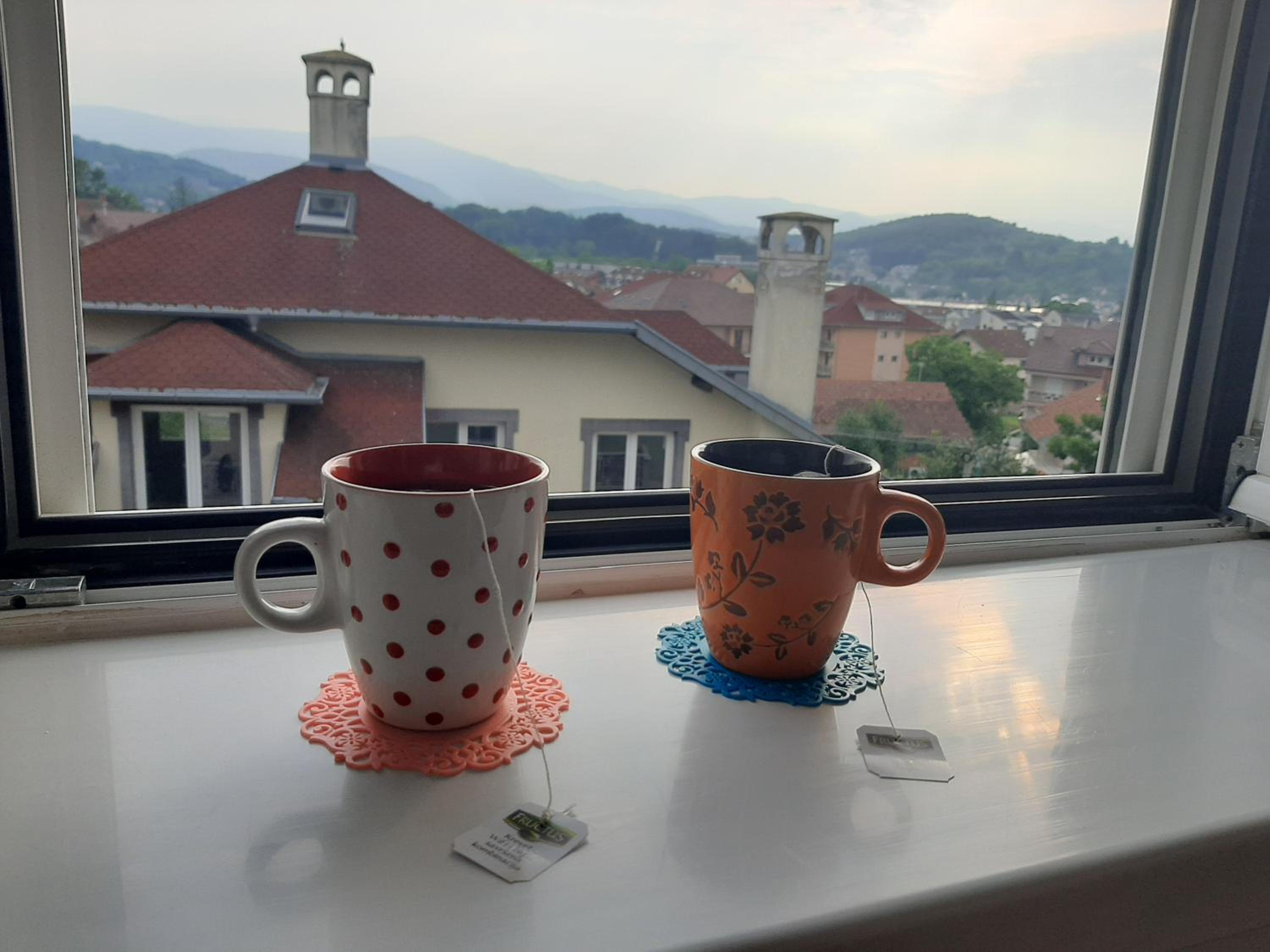 Apartman MILOJEVICI view 4