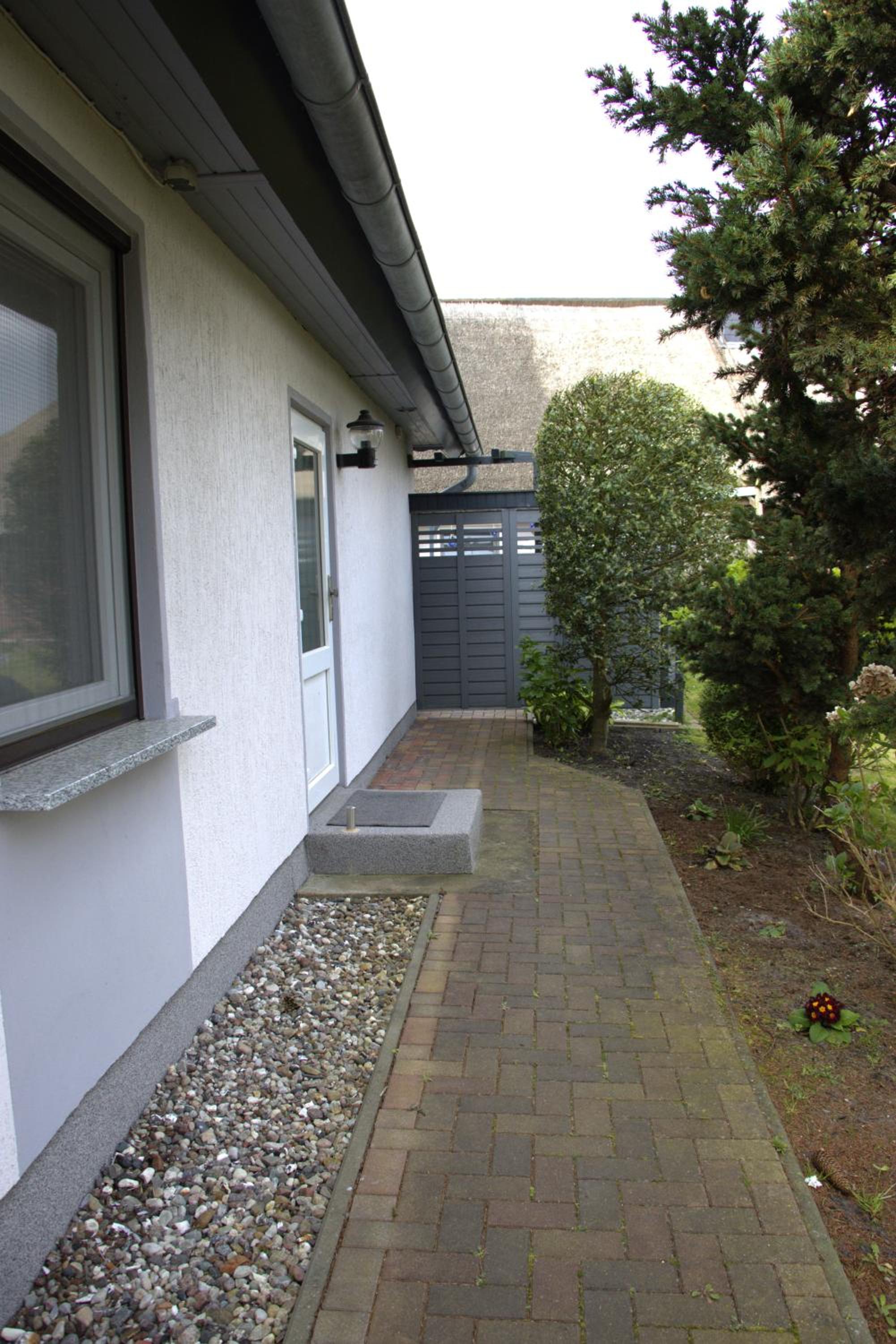 Seestern