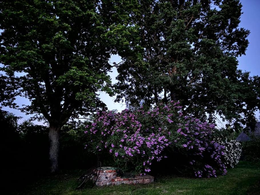 Photo 44