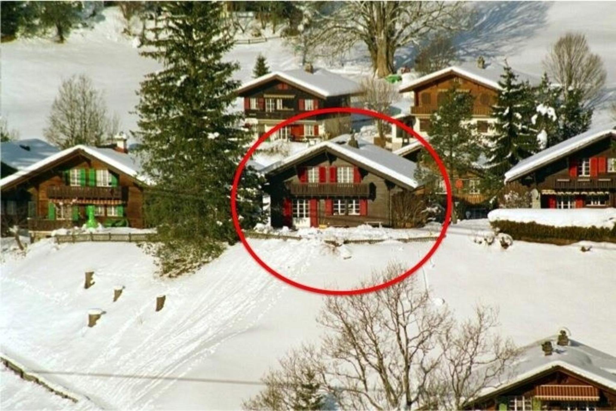 Chalet Gletscherfloh