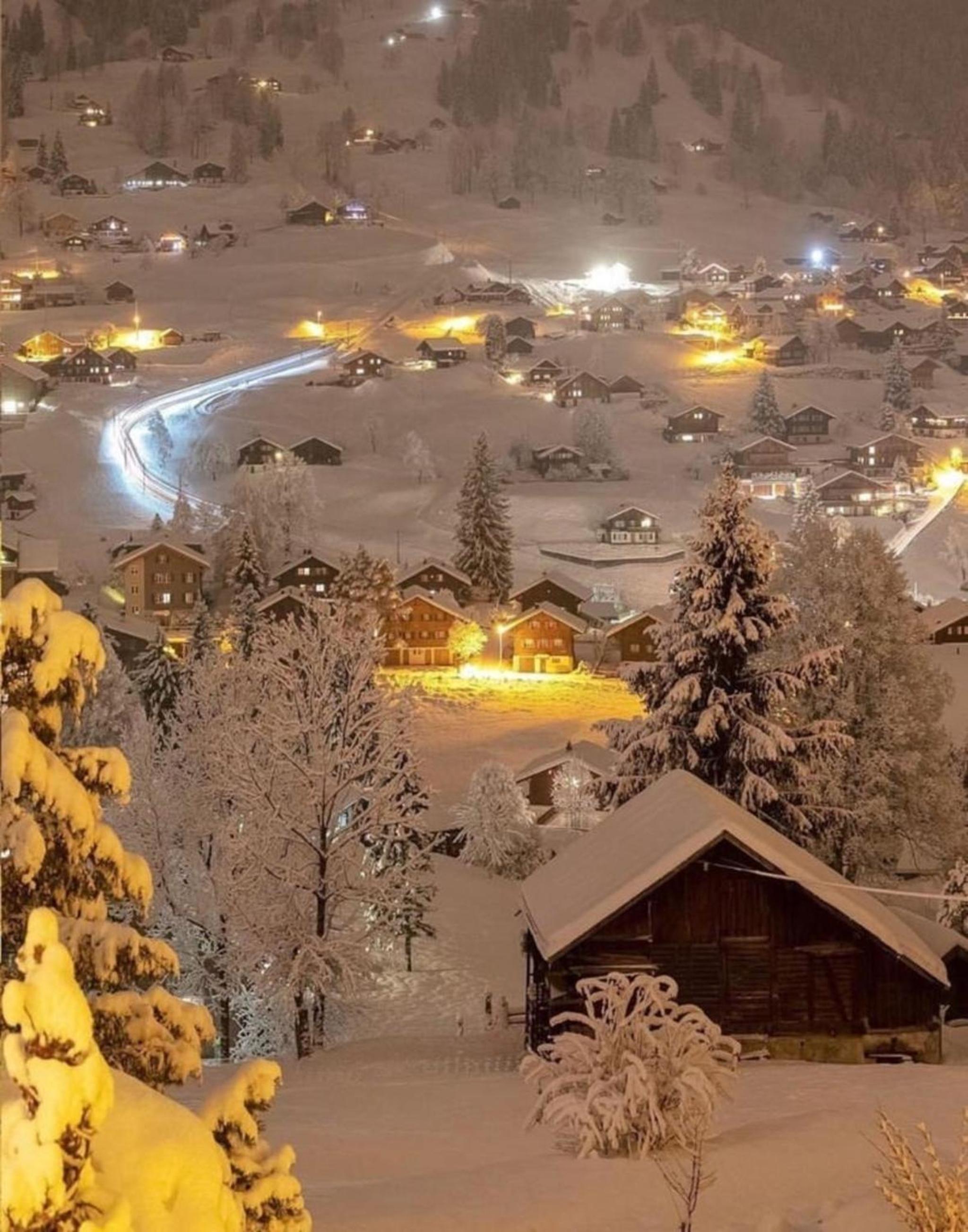Chalet Gletscherfloh