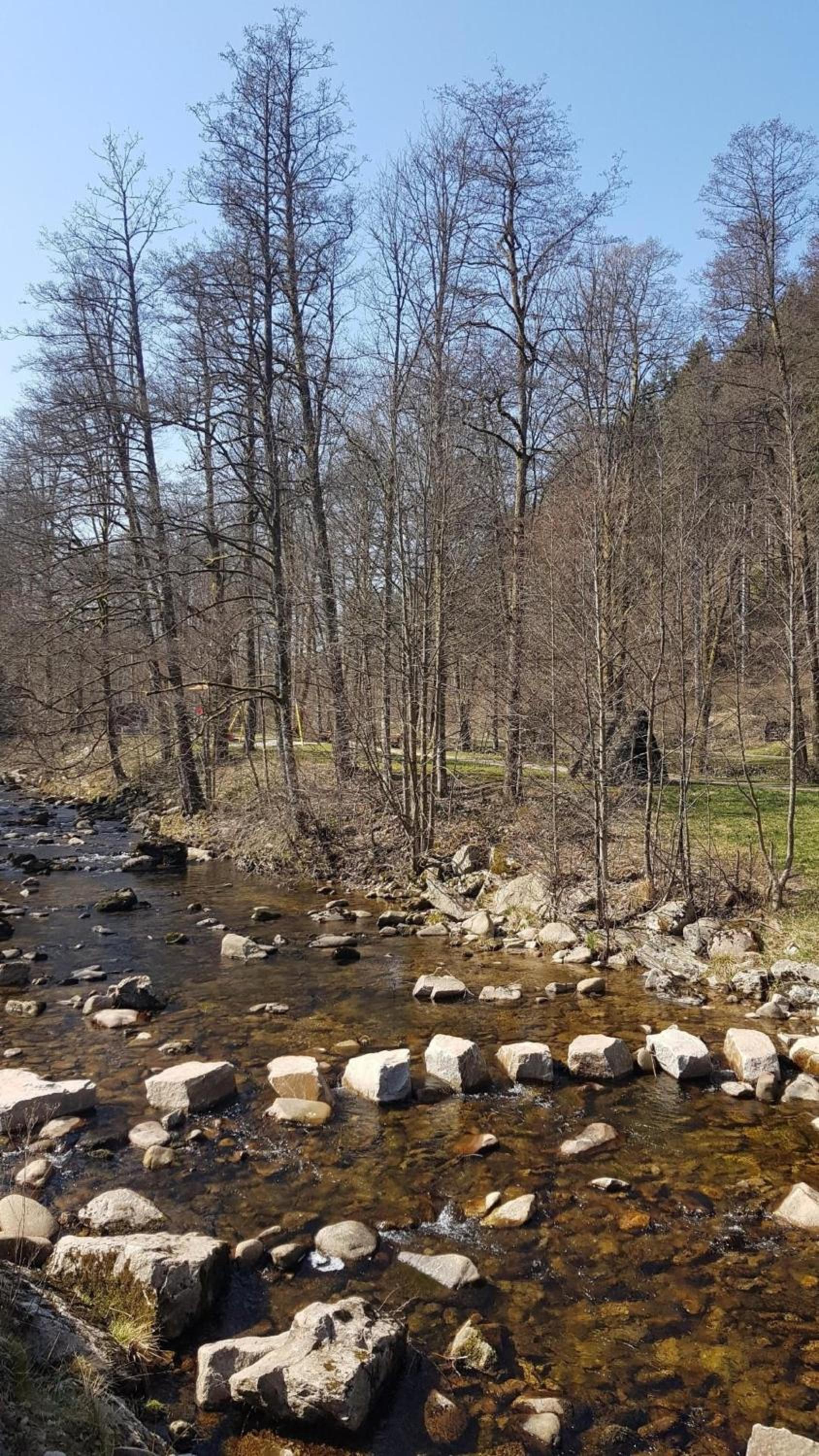 Ferienwohnung Bär