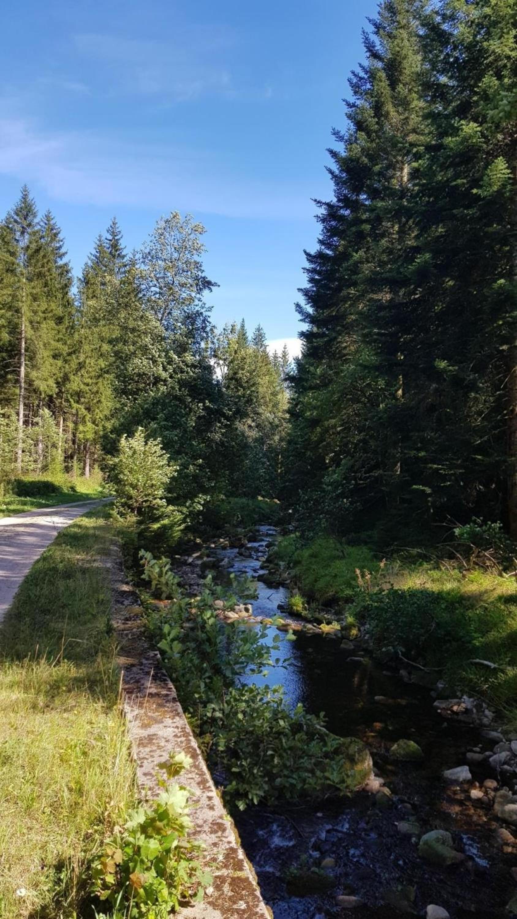 Ferienwohnung Bär