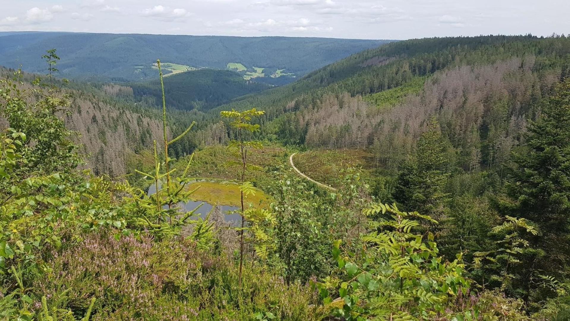 Ferienwohnung Bär