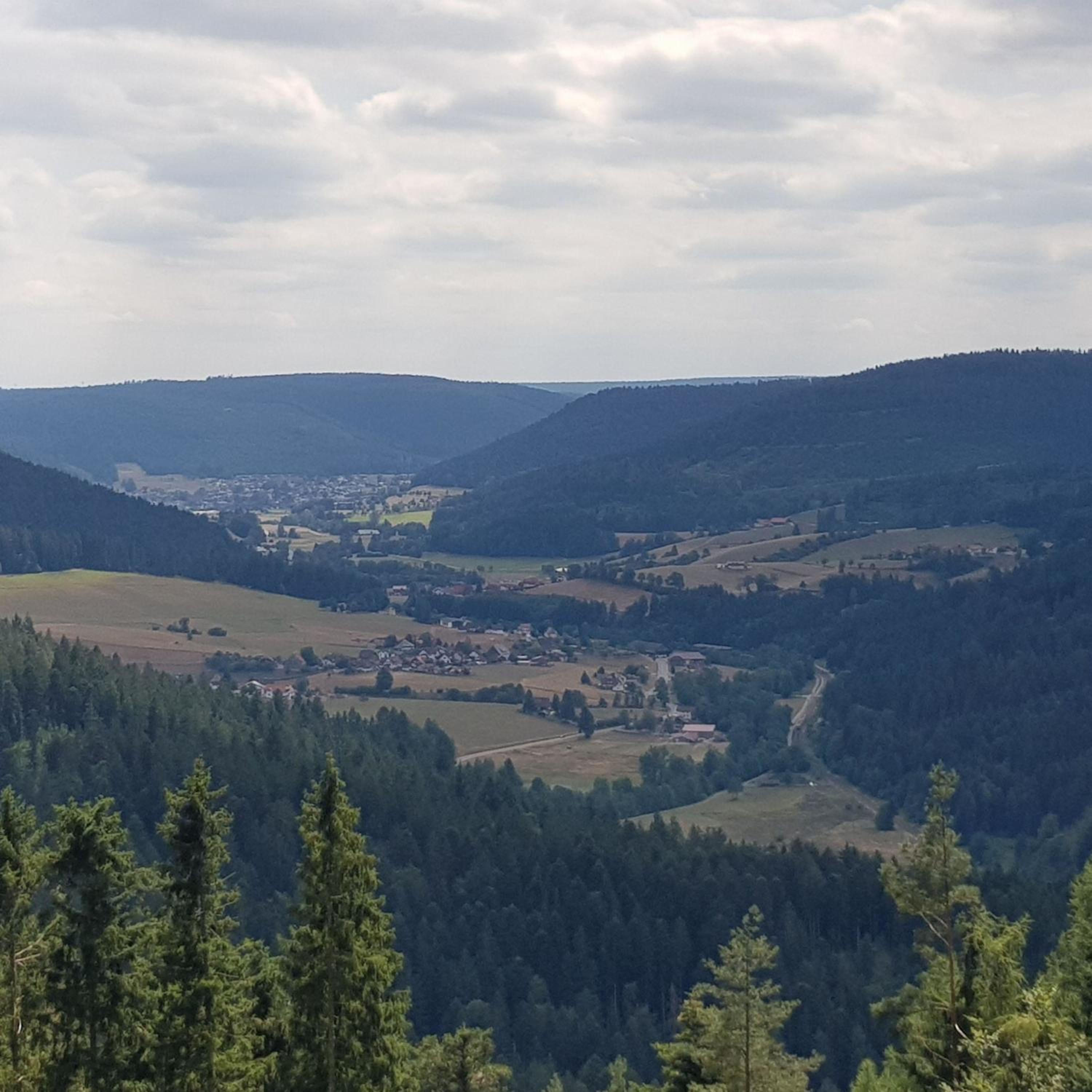 Ferienwohnung Bär
