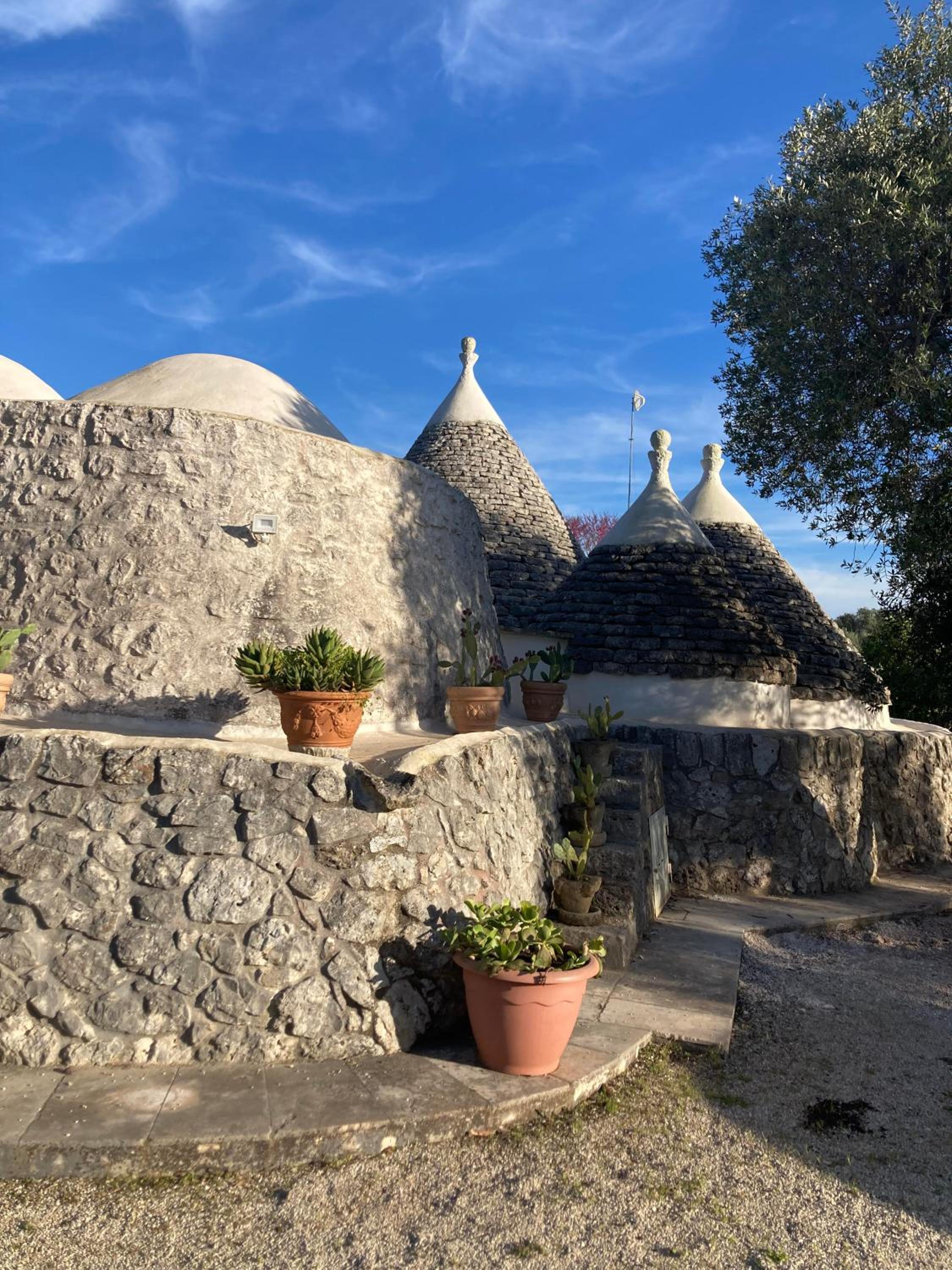trulli mimosa by pugliadamare