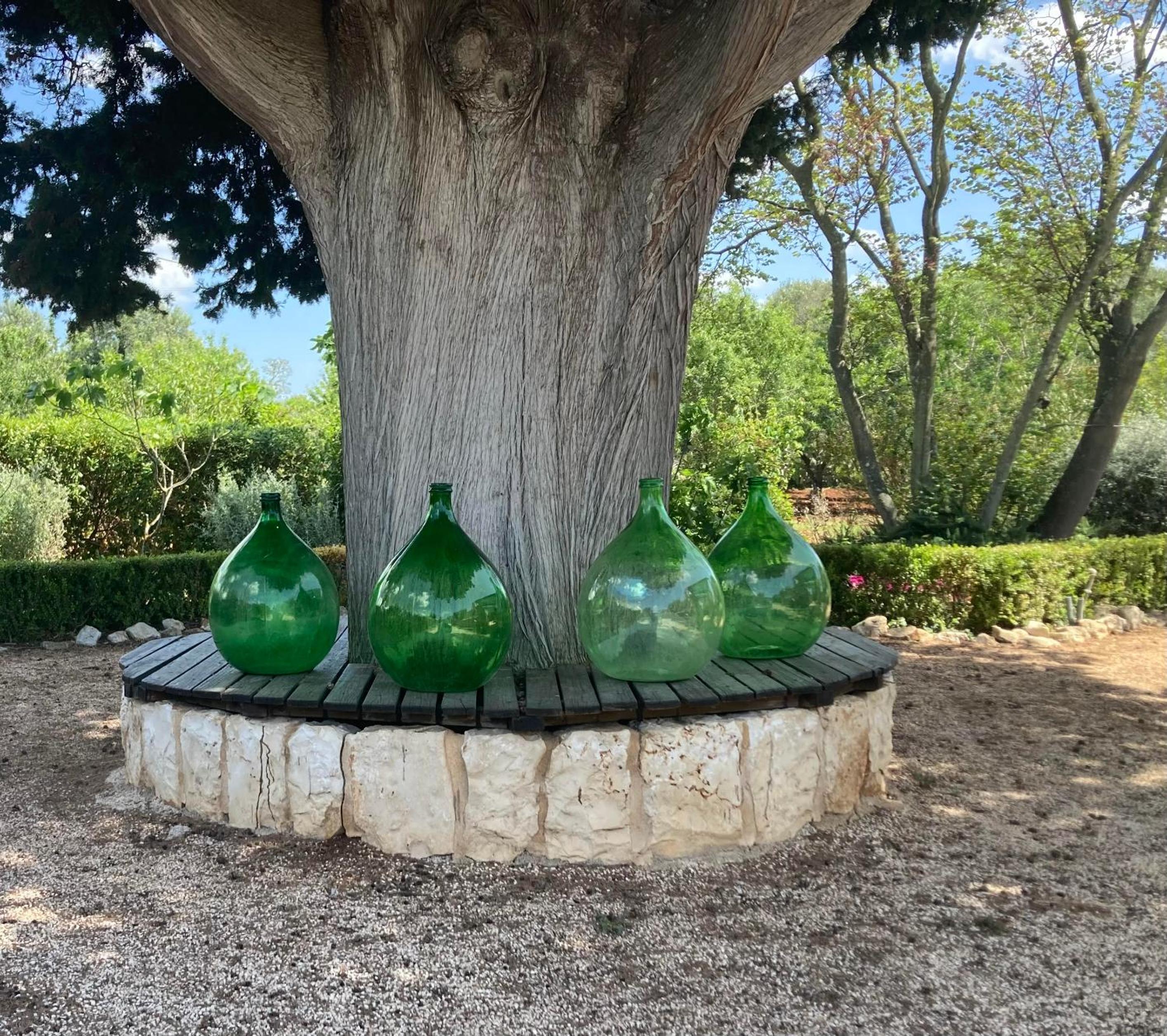trulli mimosa by pugliadamare
