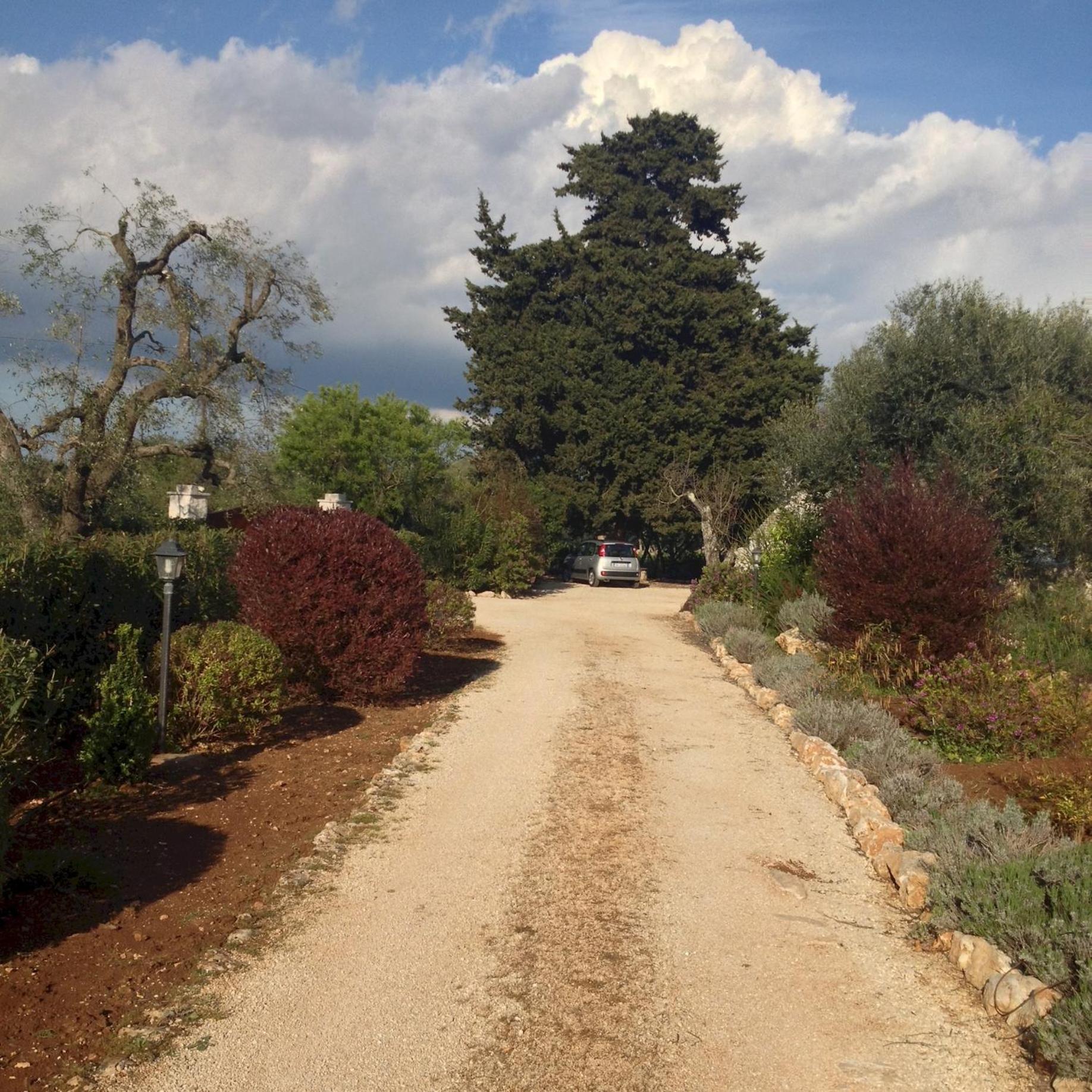 trulli mimosa by pugliadamare