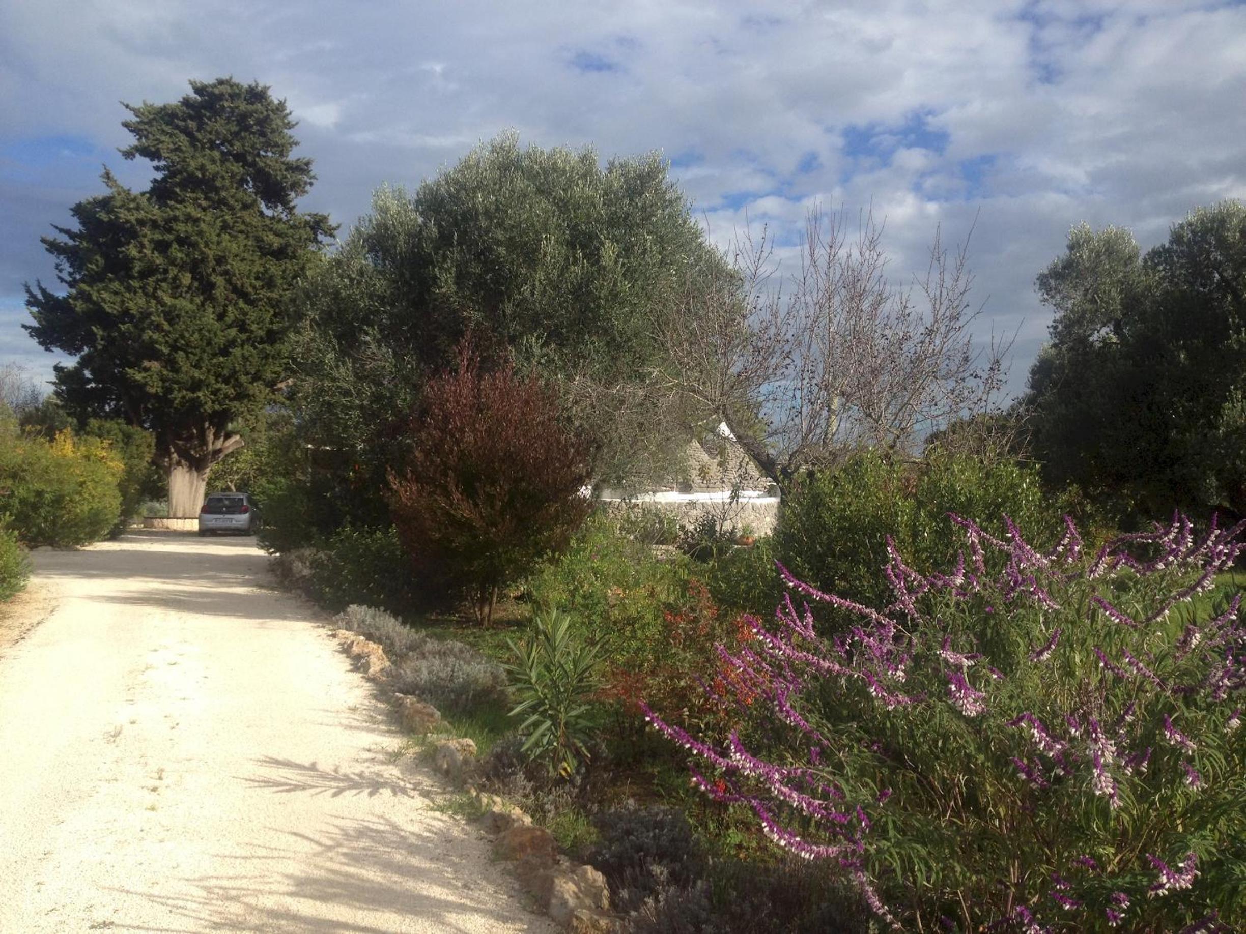 trulli mimosa by pugliadamare