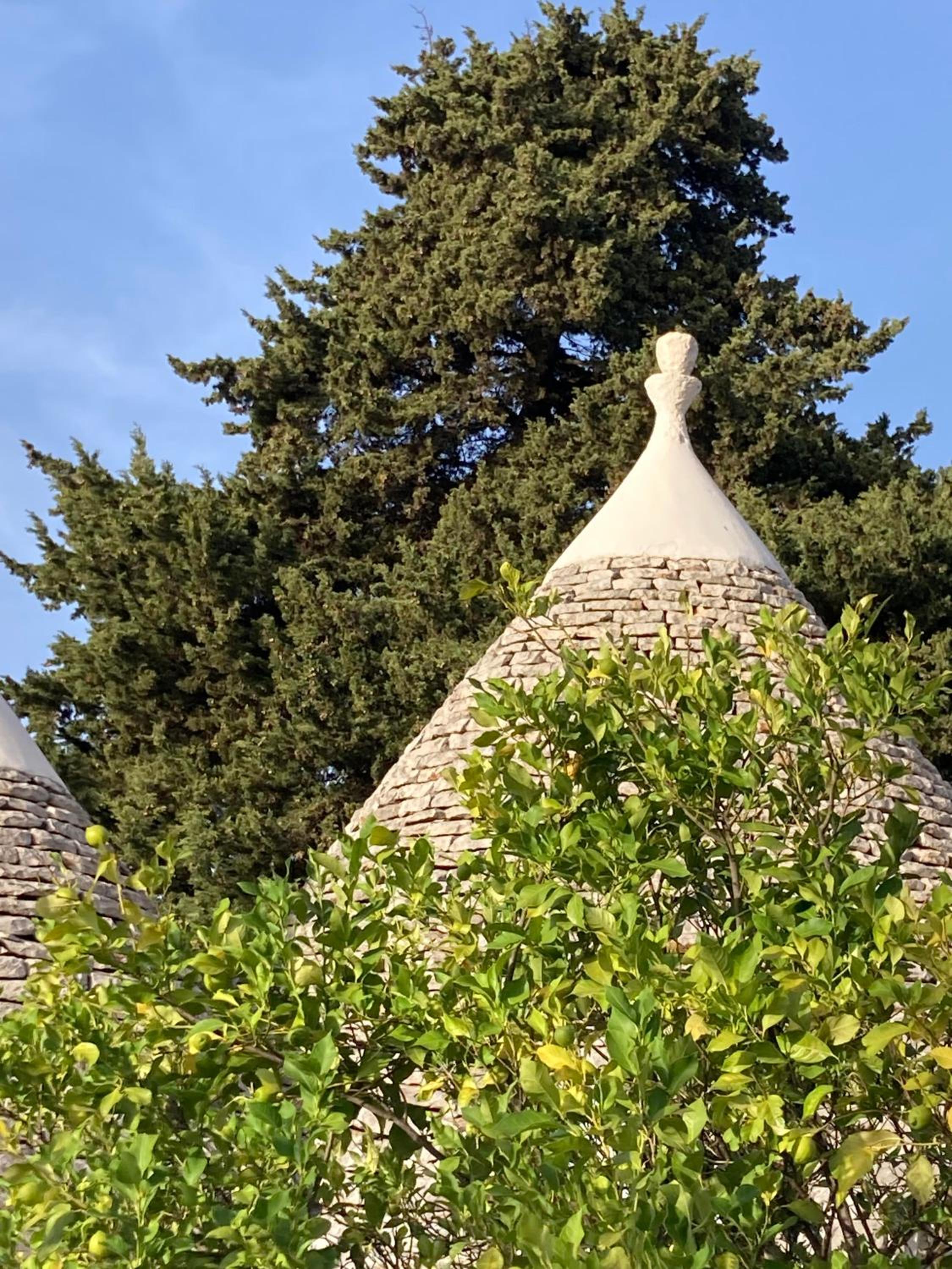 trulli mimosa by pugliadamare